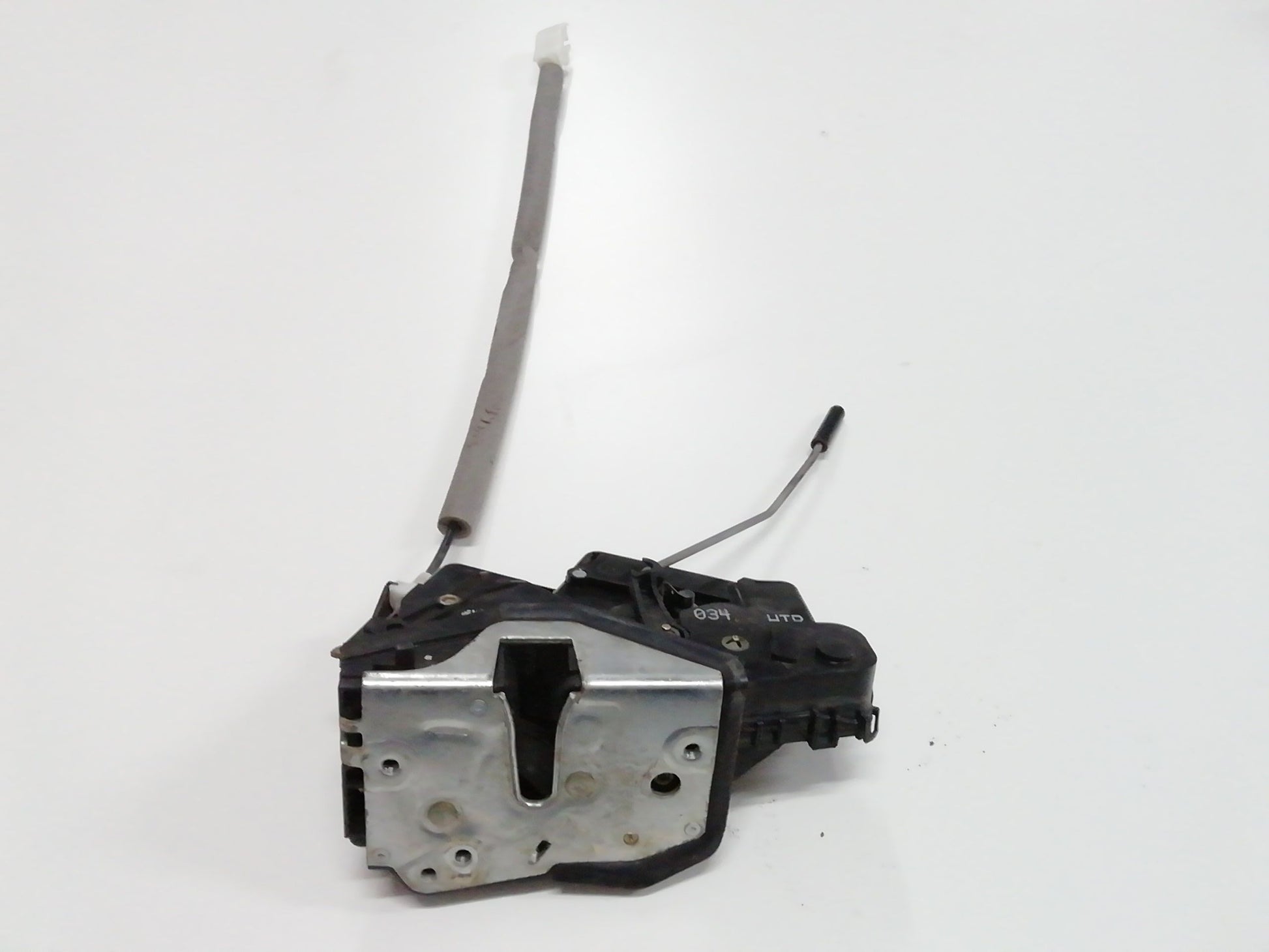 Immagine 5