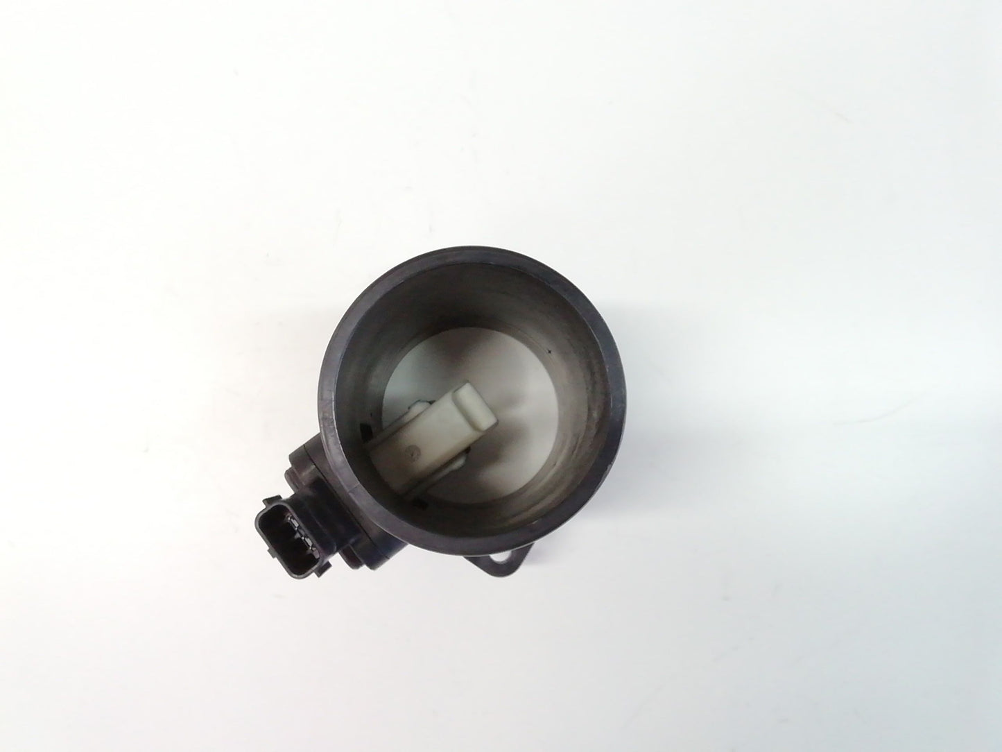 Immagine 7