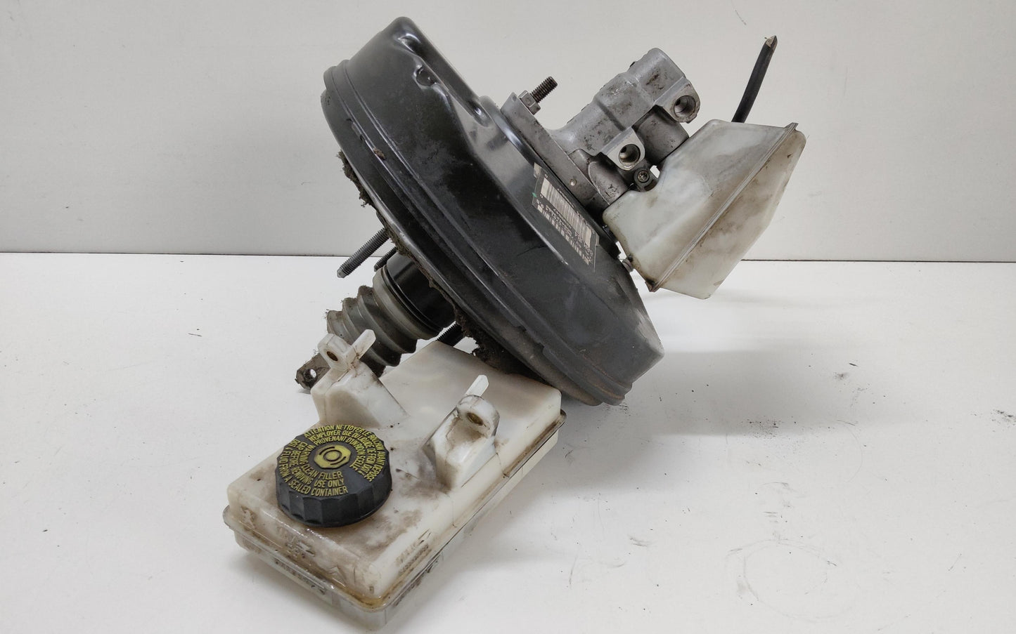 Immagine 3