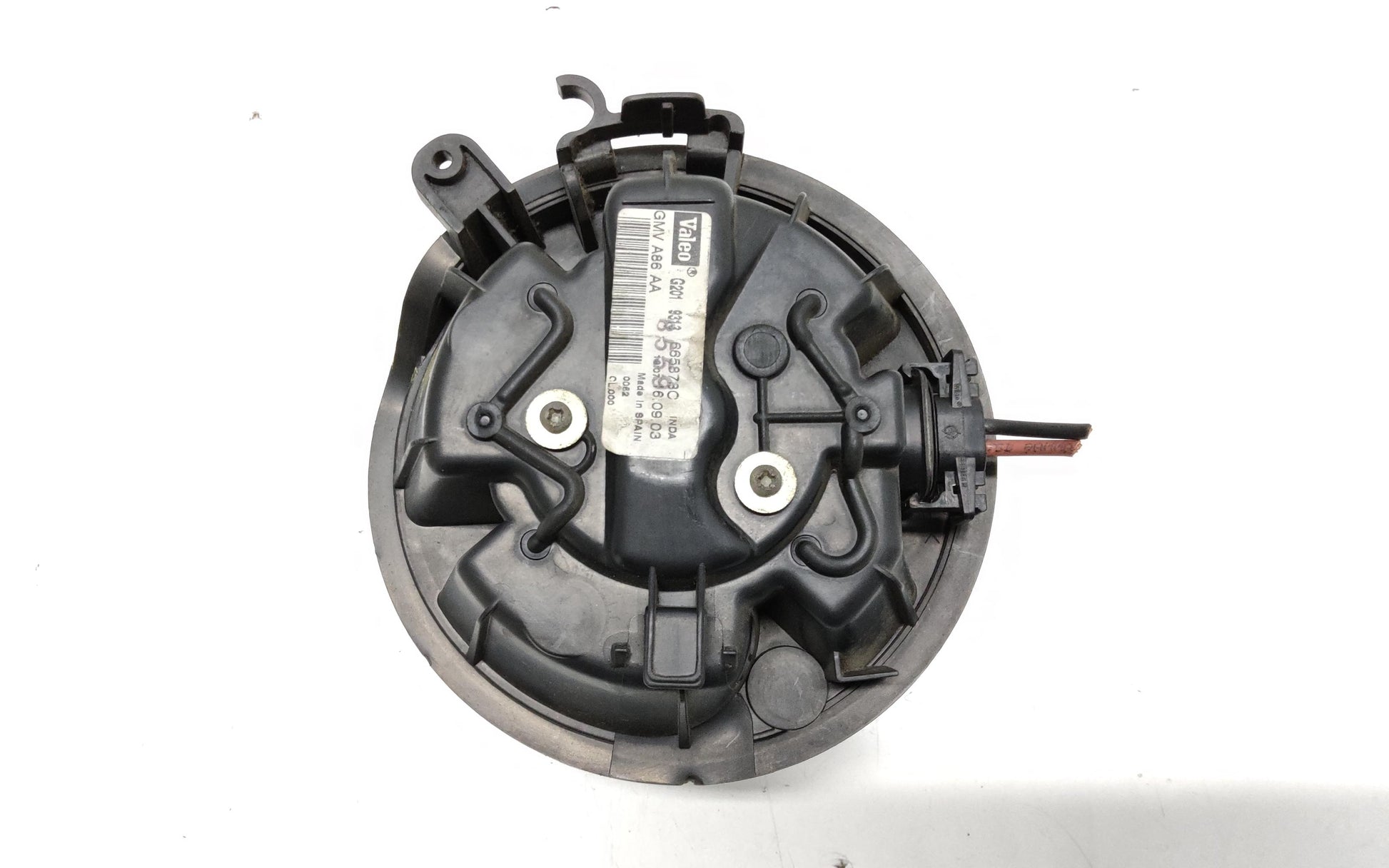 Immagine 5
