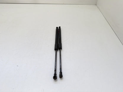Immagine 3