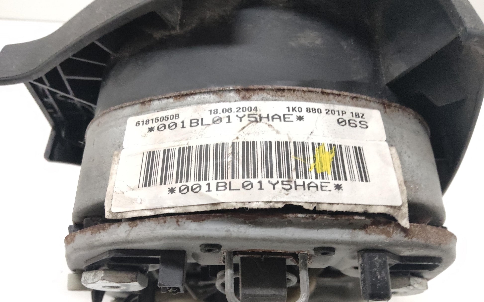 Immagine 6