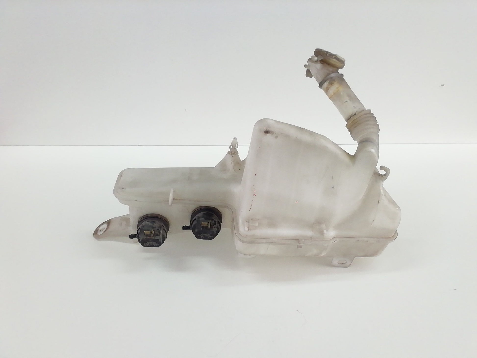 Immagine 2