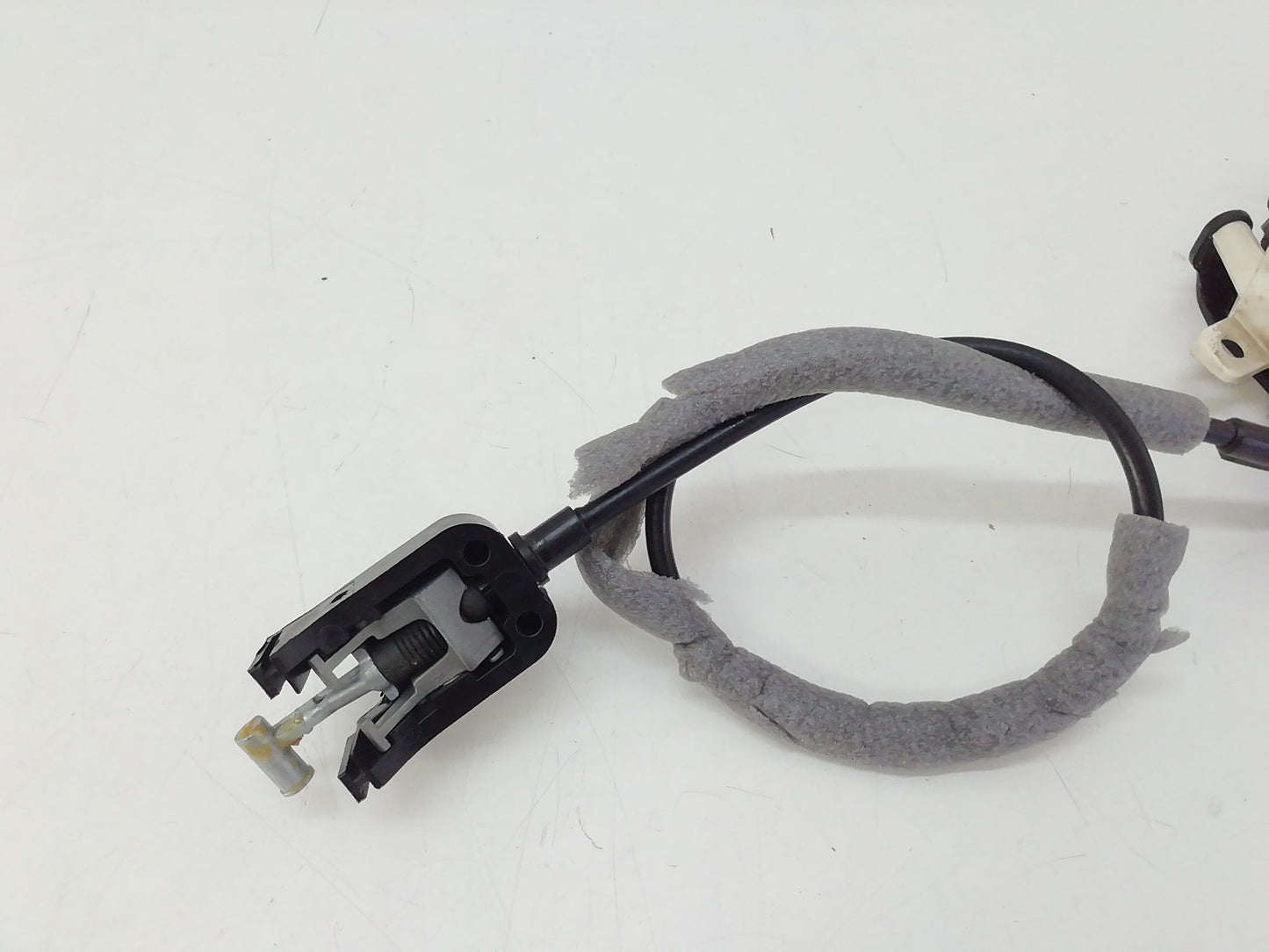 Immagine 3
