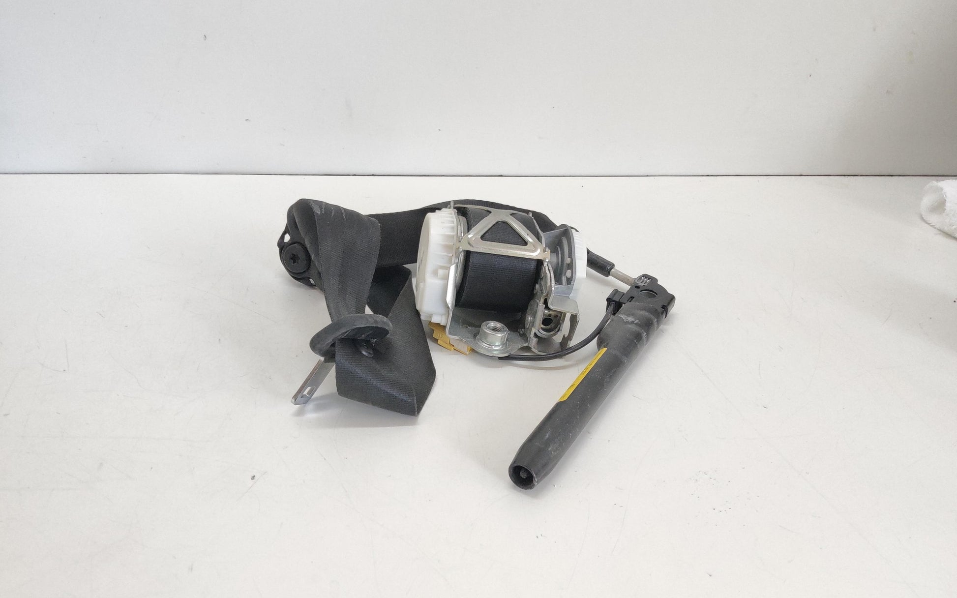Immagine 5