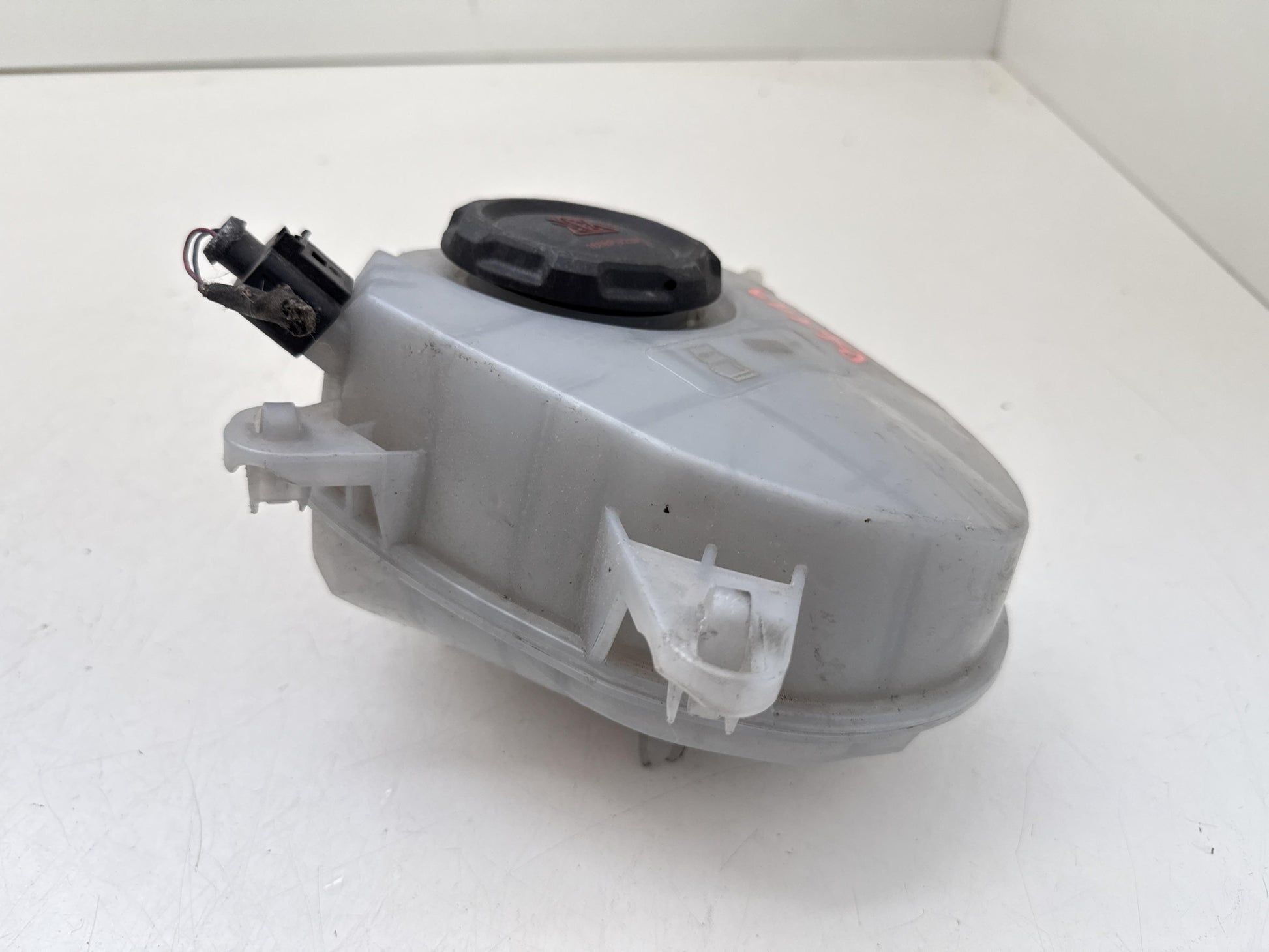 Immagine 3