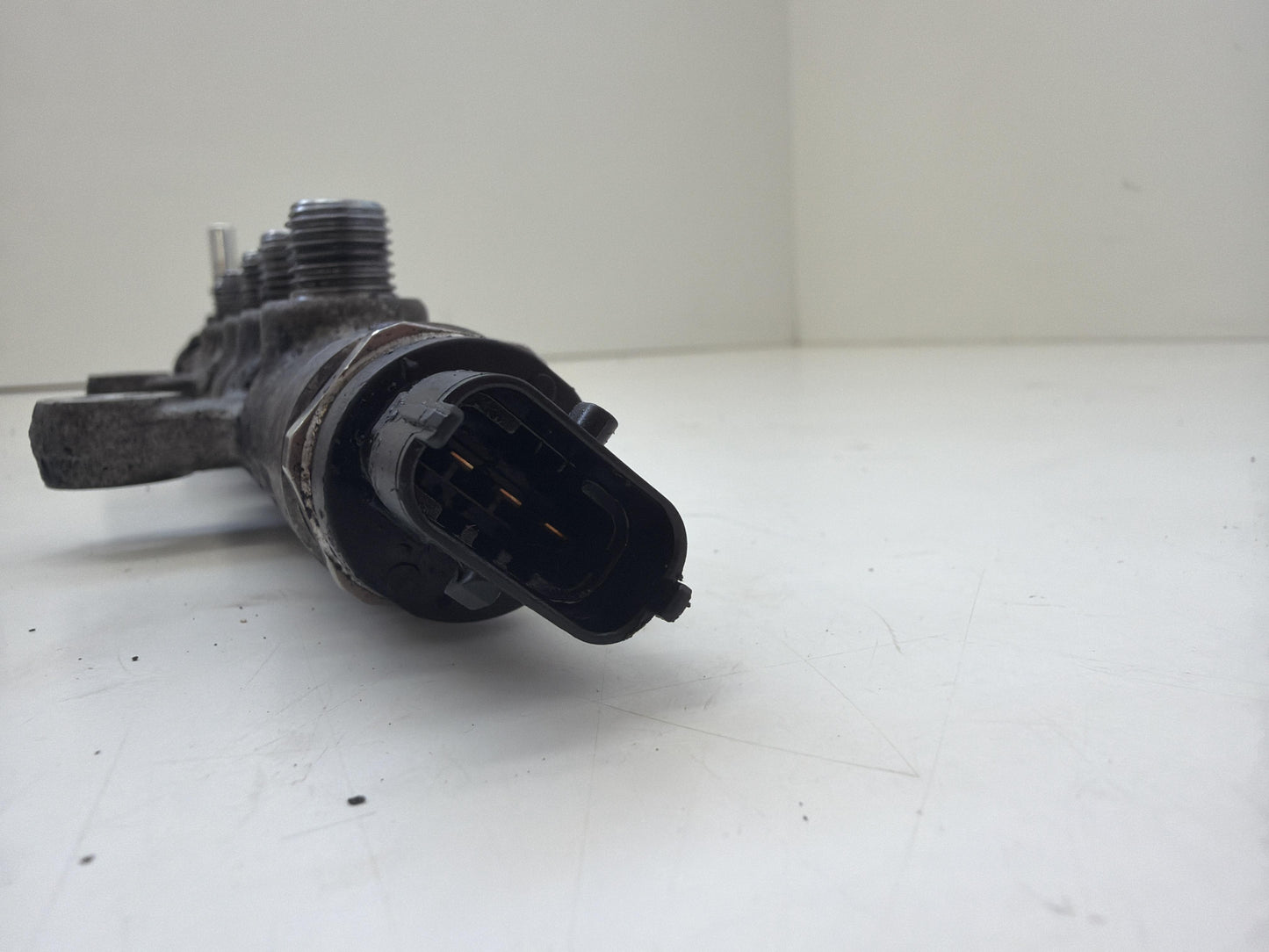 Immagine 7