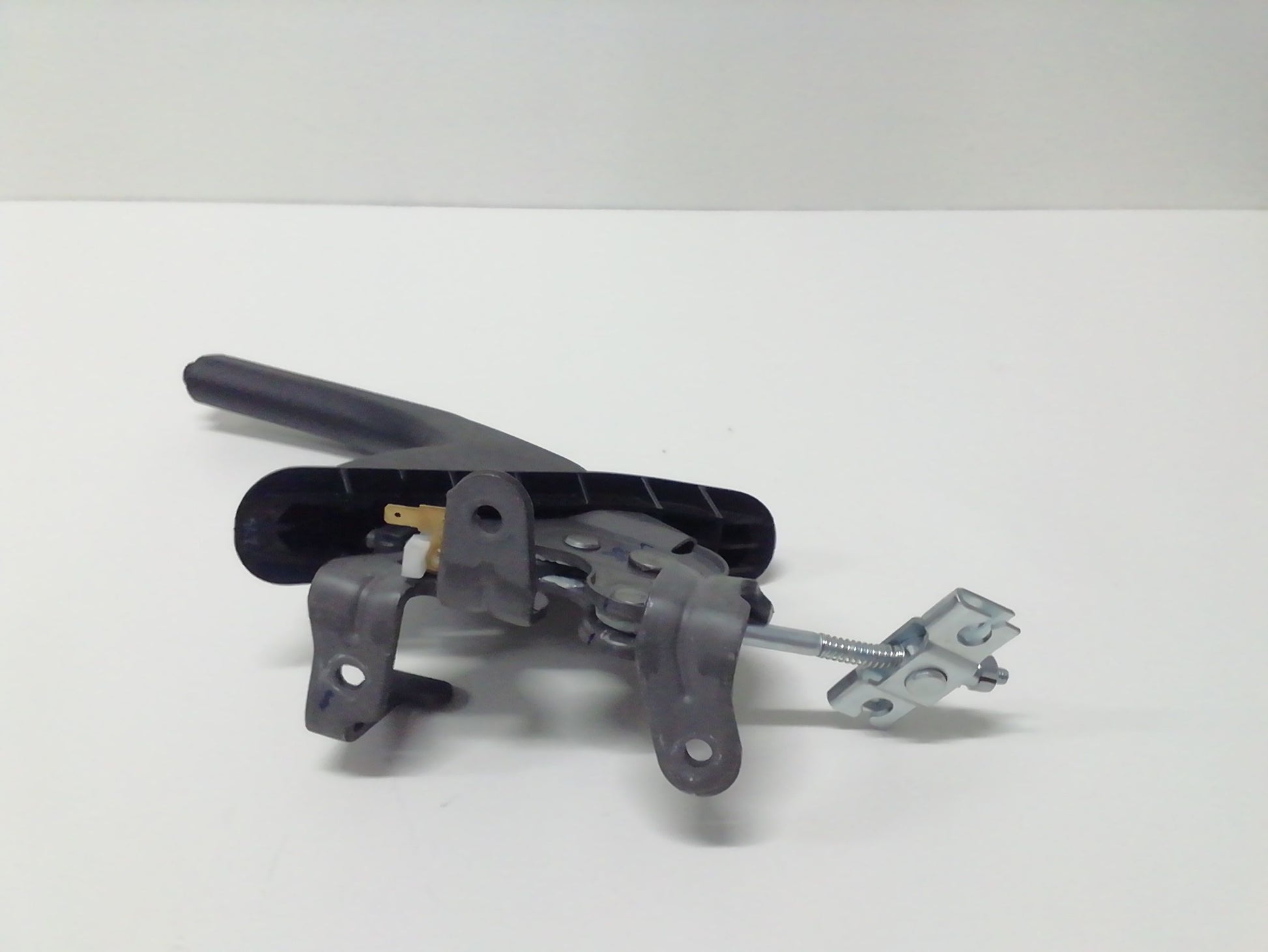 Immagine 3