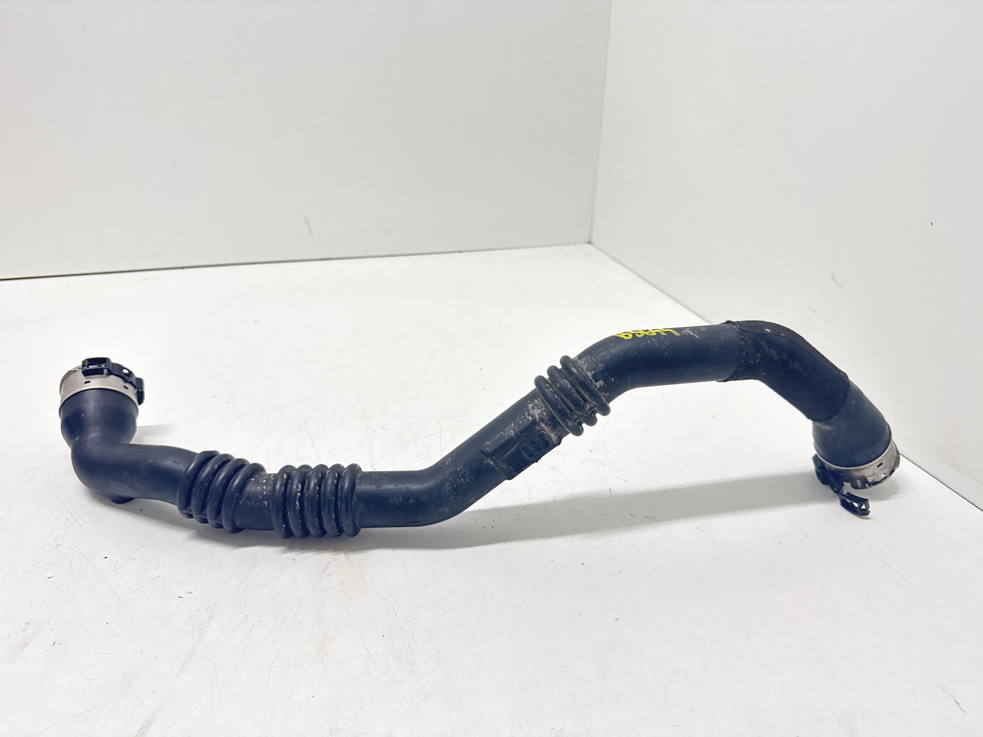 Immagine 1