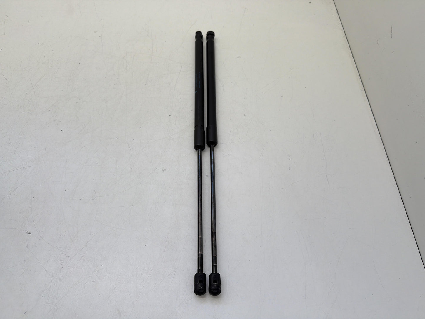 Immagine 3