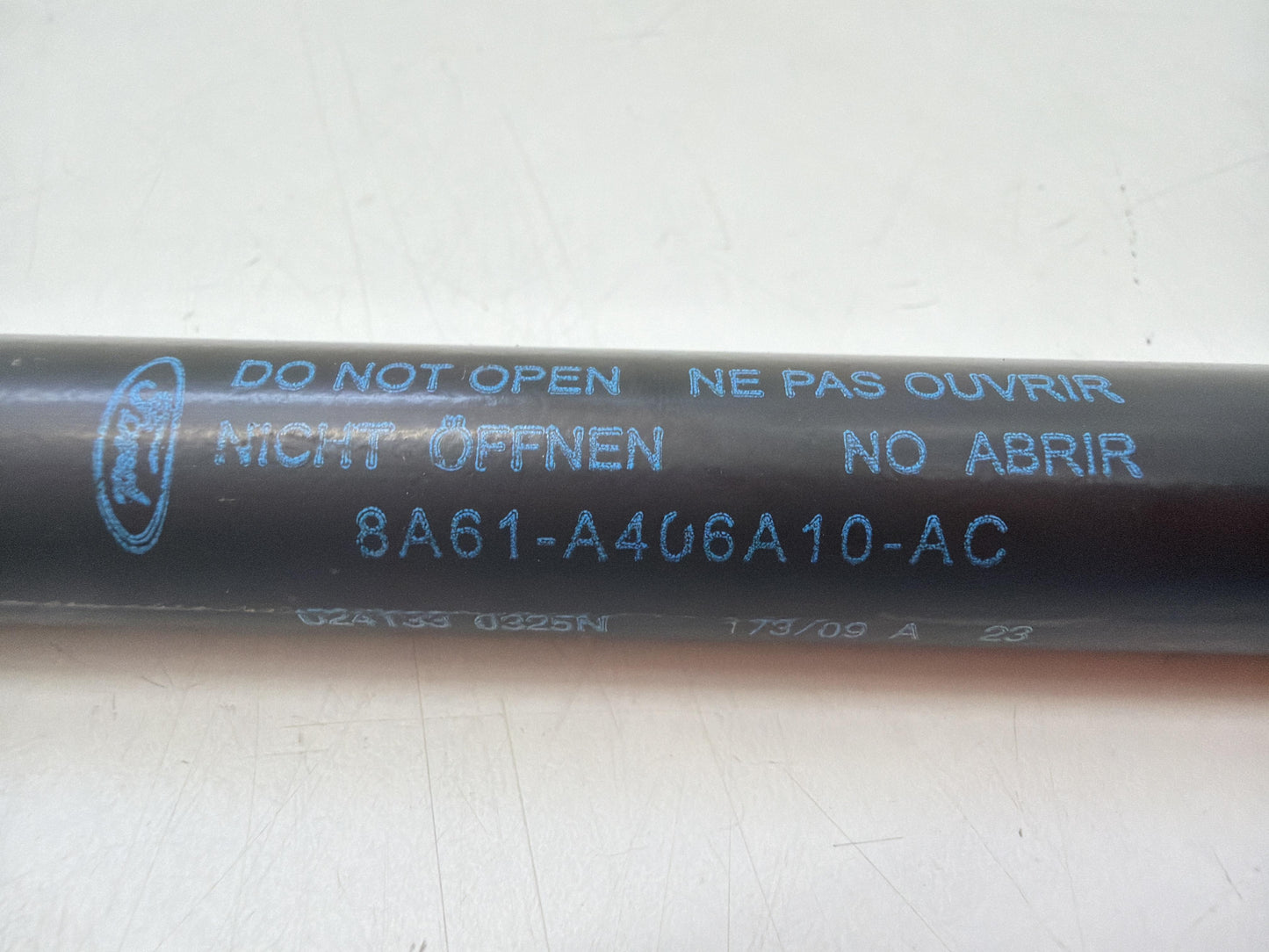 Immagine 7