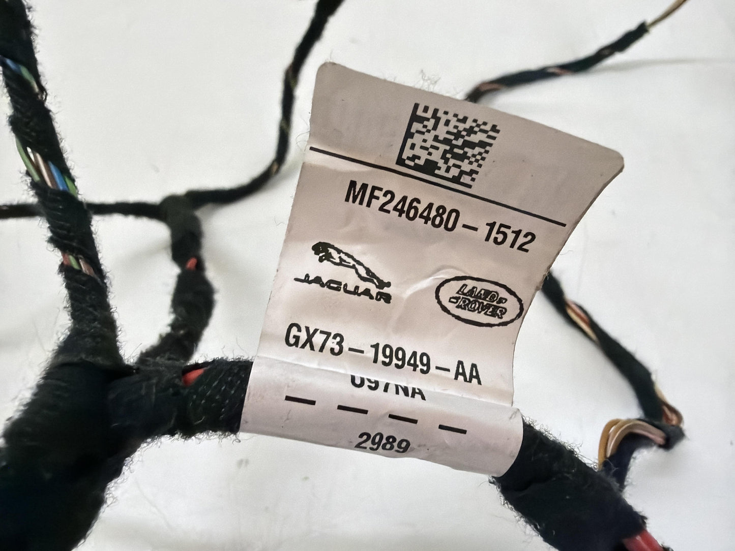 Immagine 6