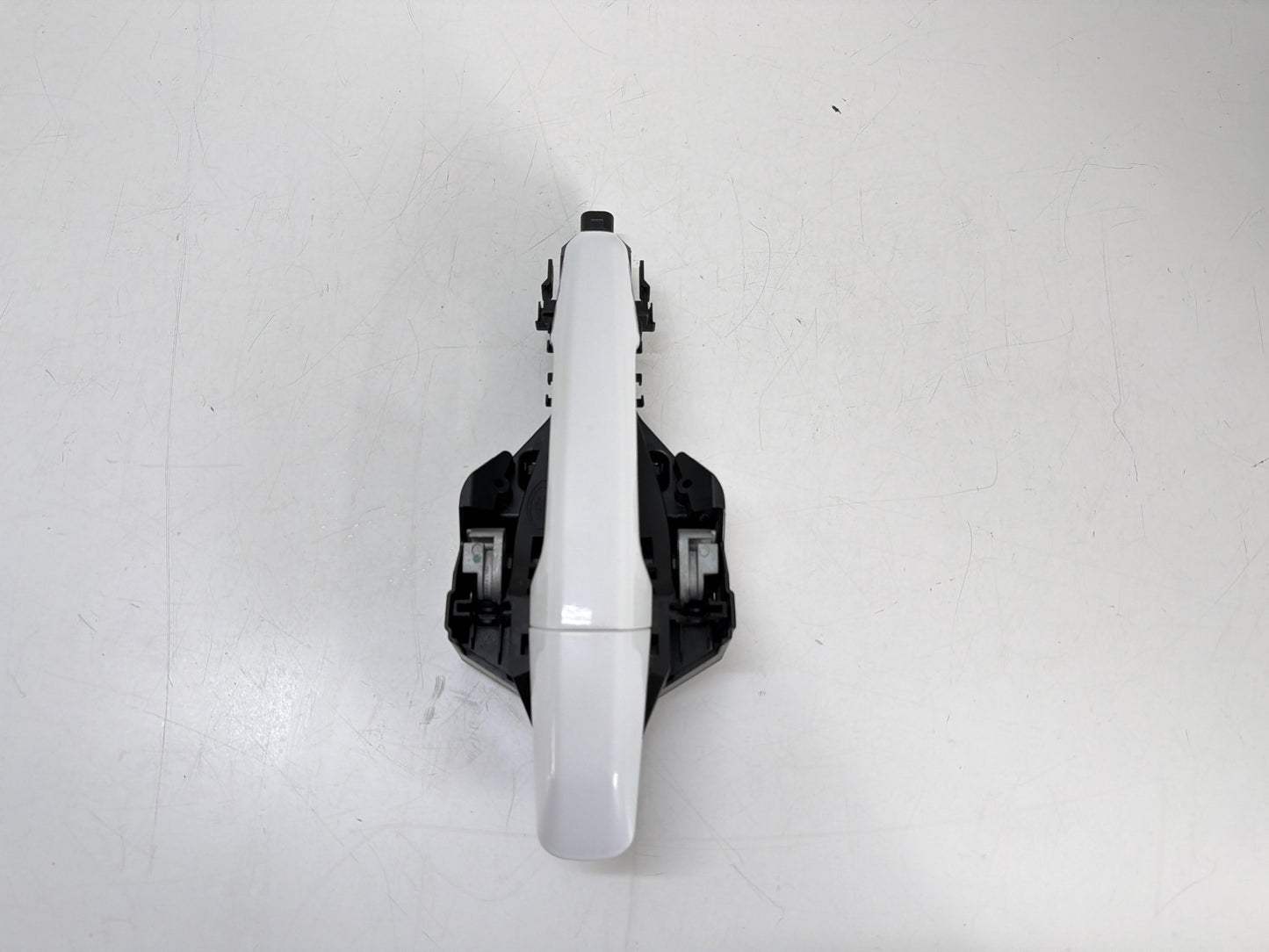 Immagine 3
