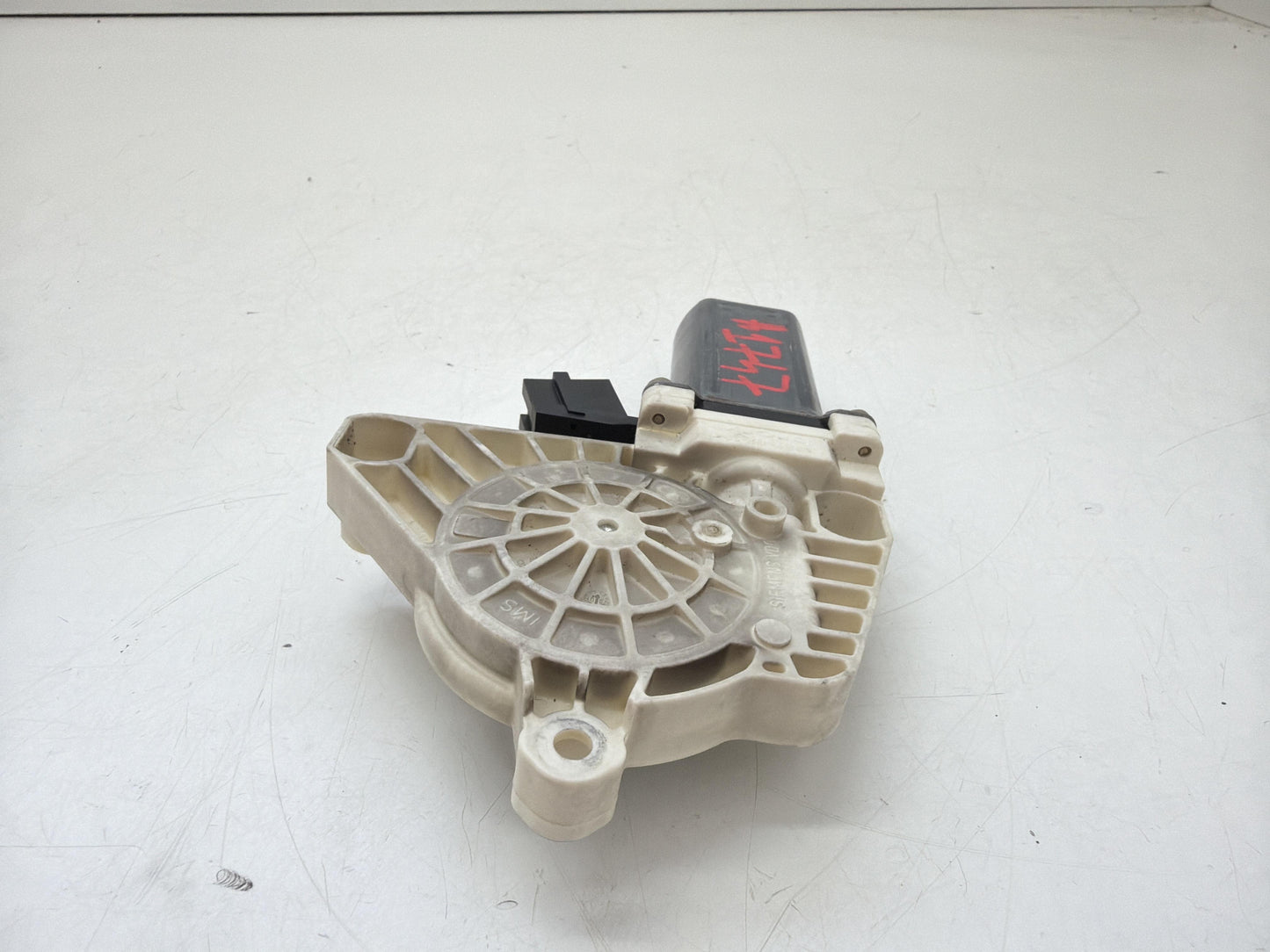 Immagine 2