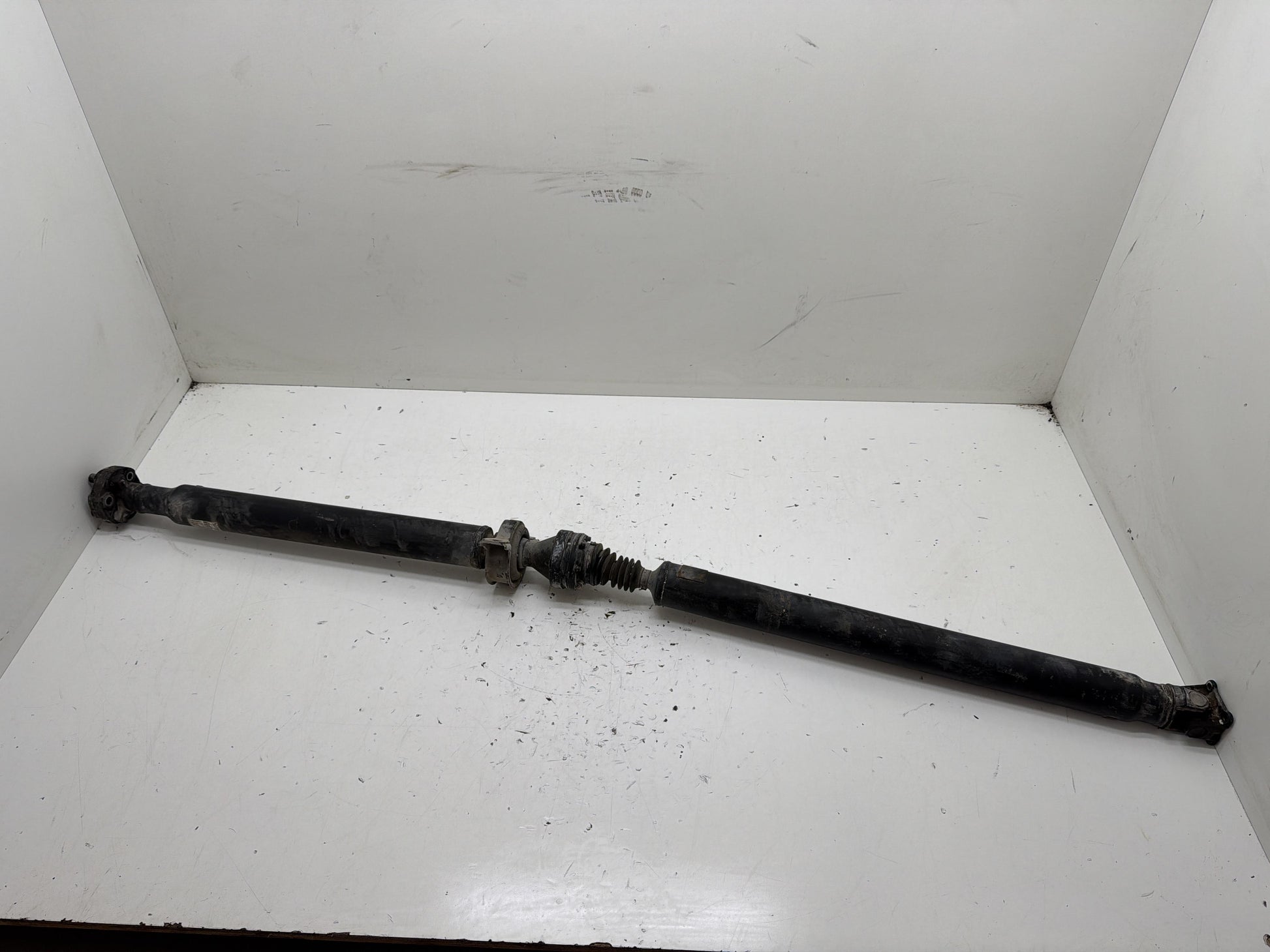 Immagine 1