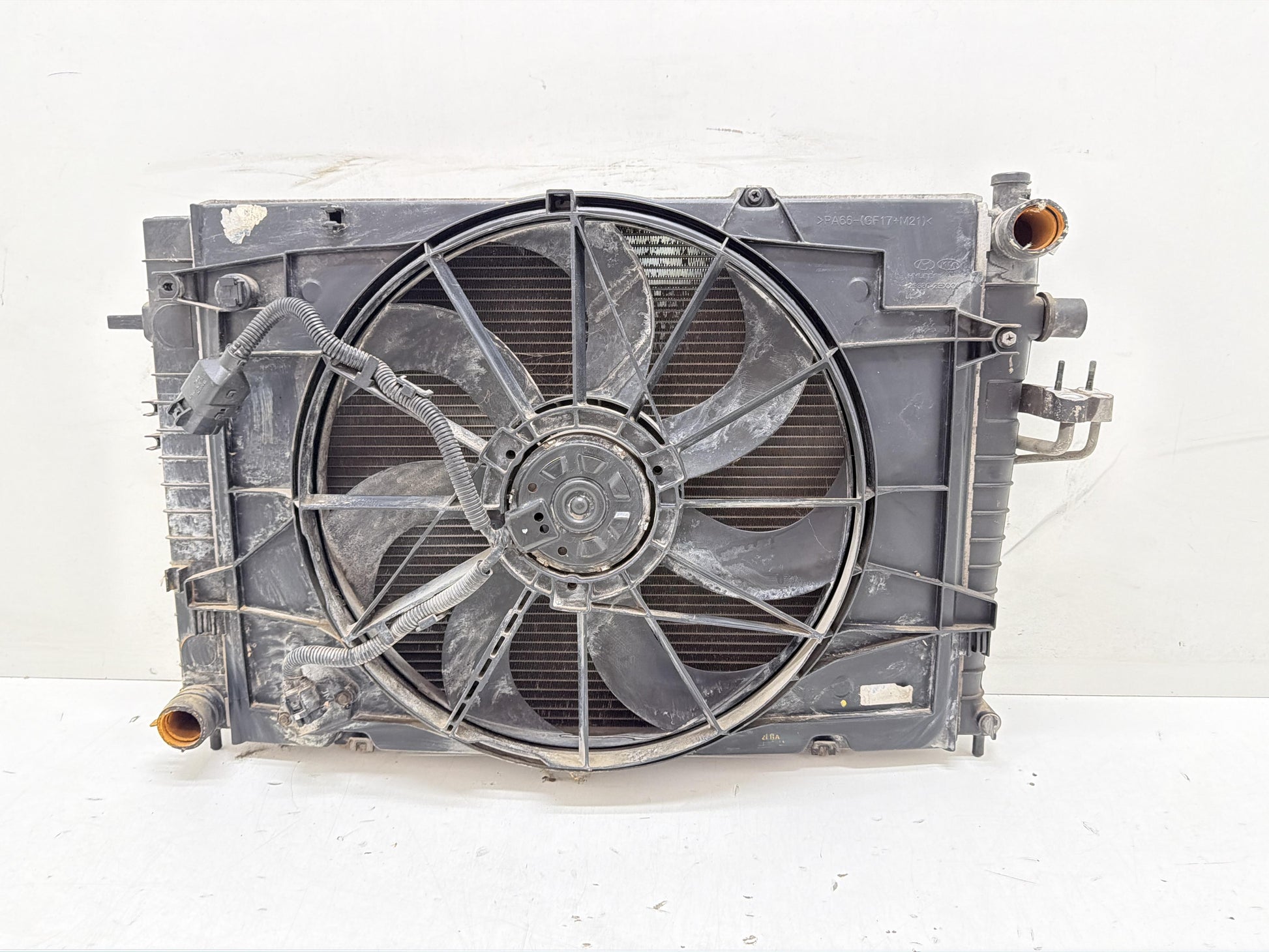 Immagine 4