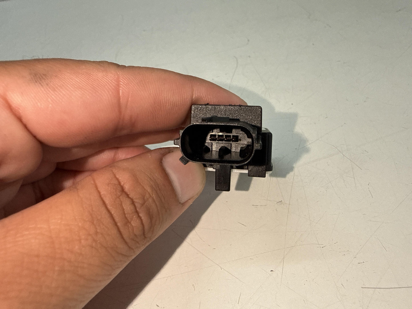 Immagine 2
