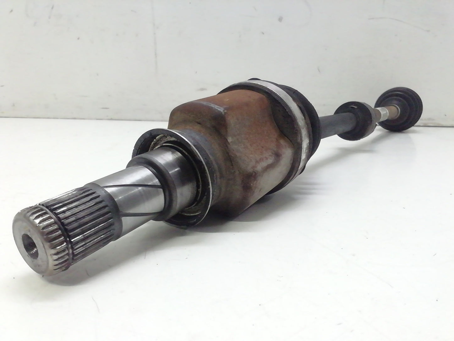 Immagine 4