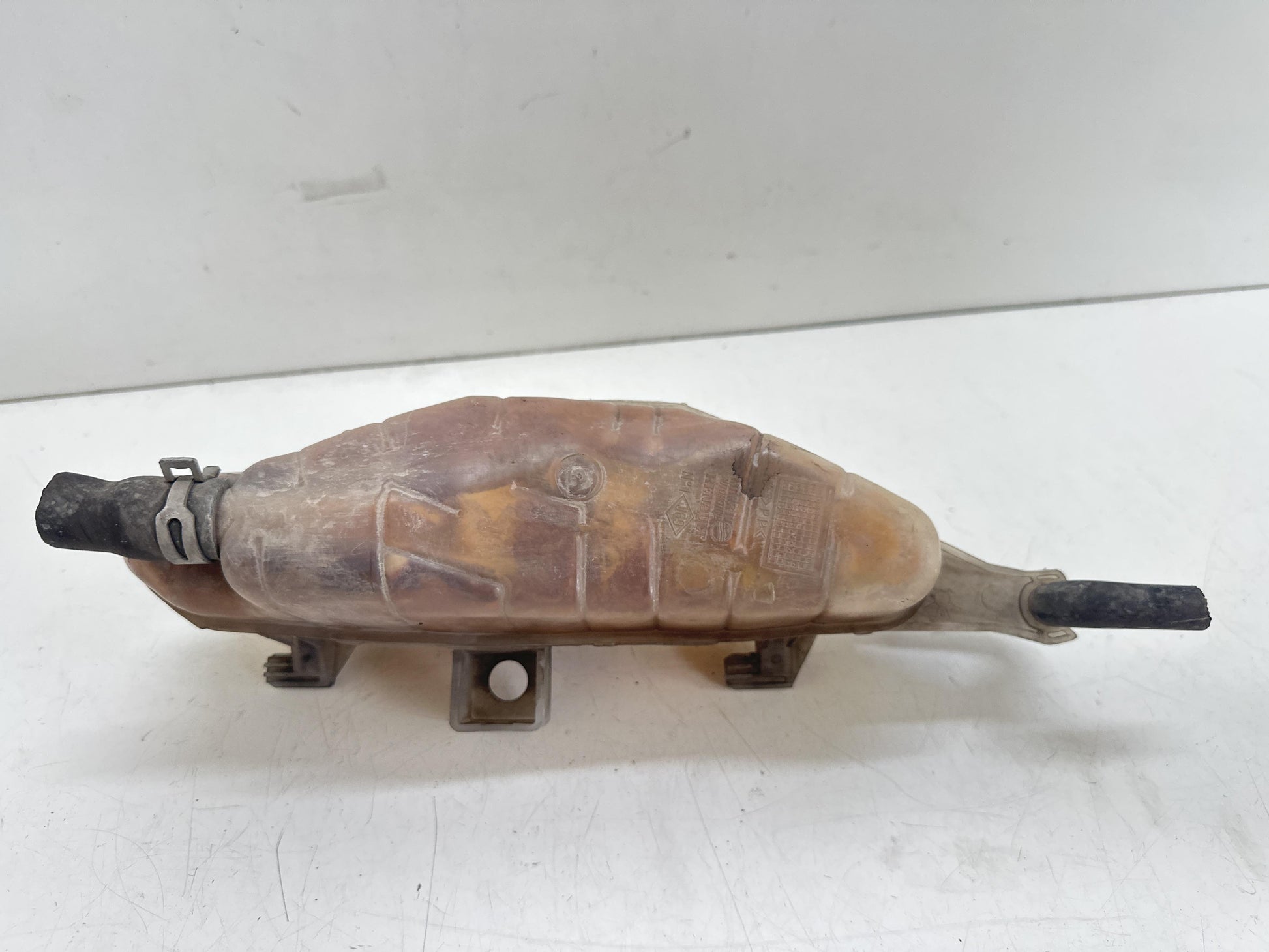Immagine 6