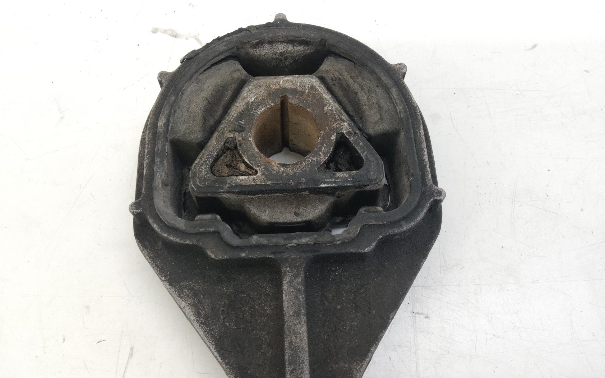 Immagine 7
