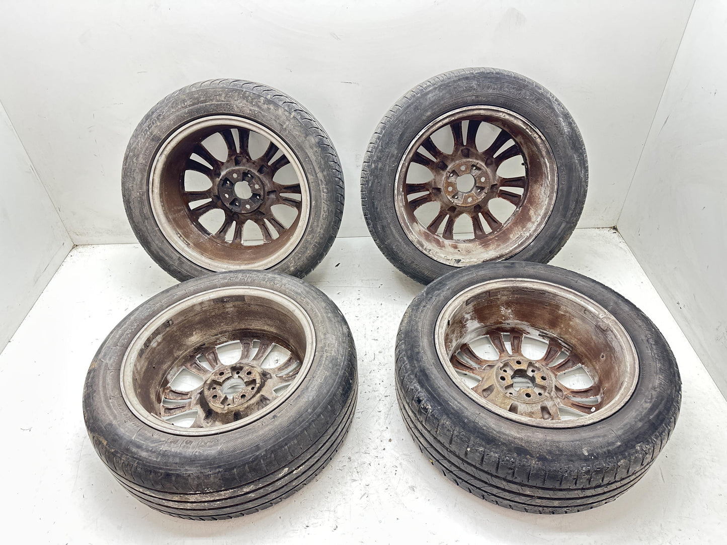 Immagine 15