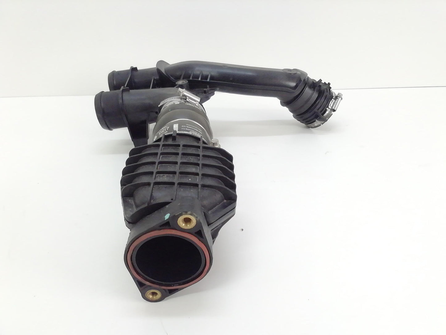 Immagine 3