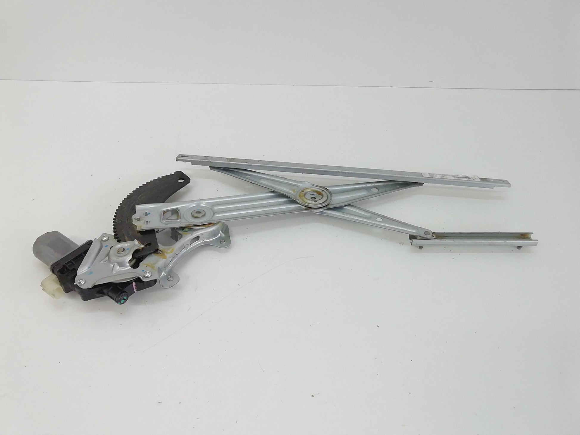 Immagine 1