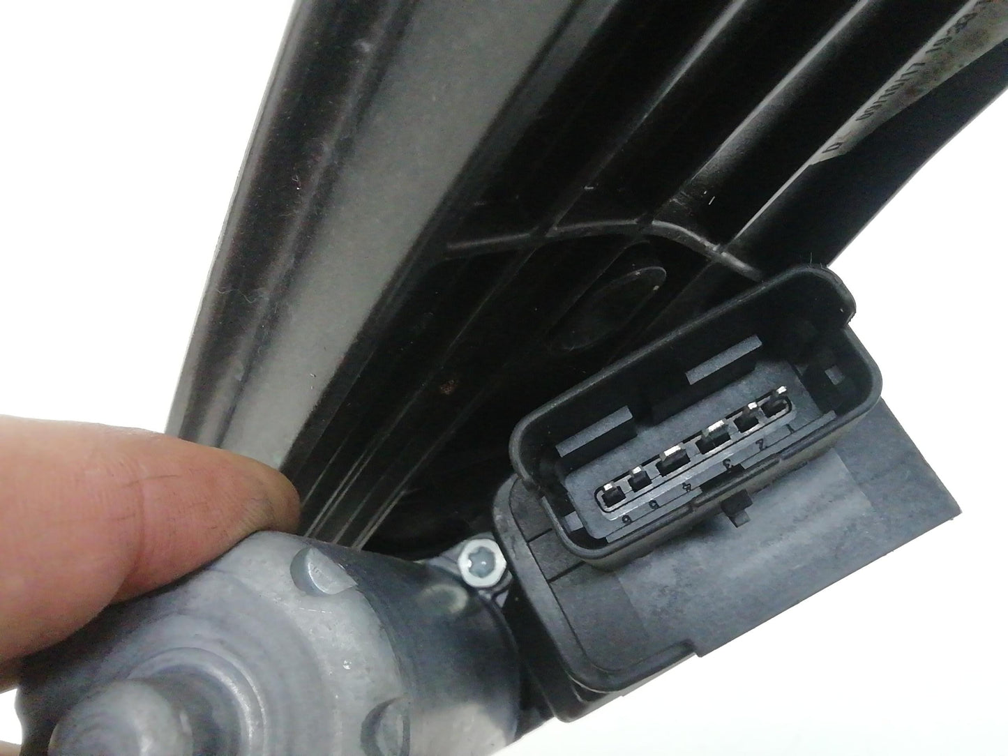 Immagine 5