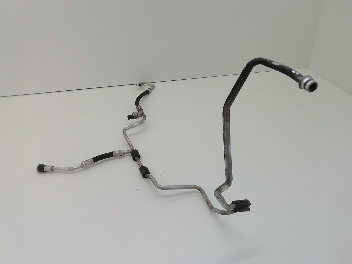 Immagine 4