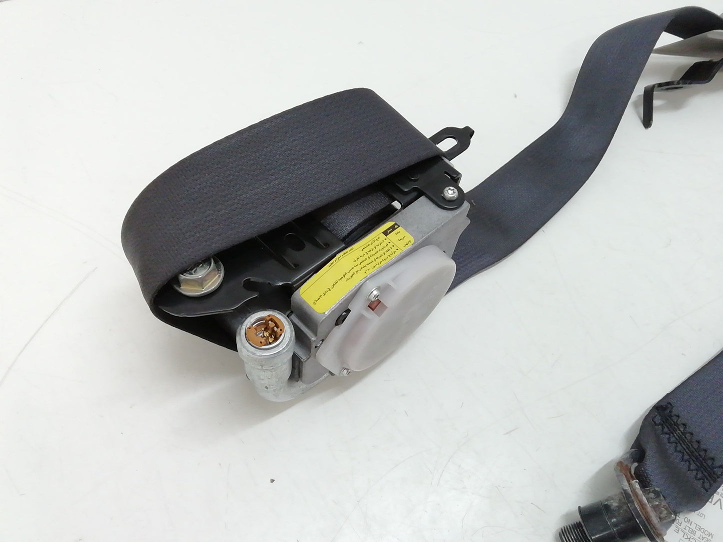 Immagine 2