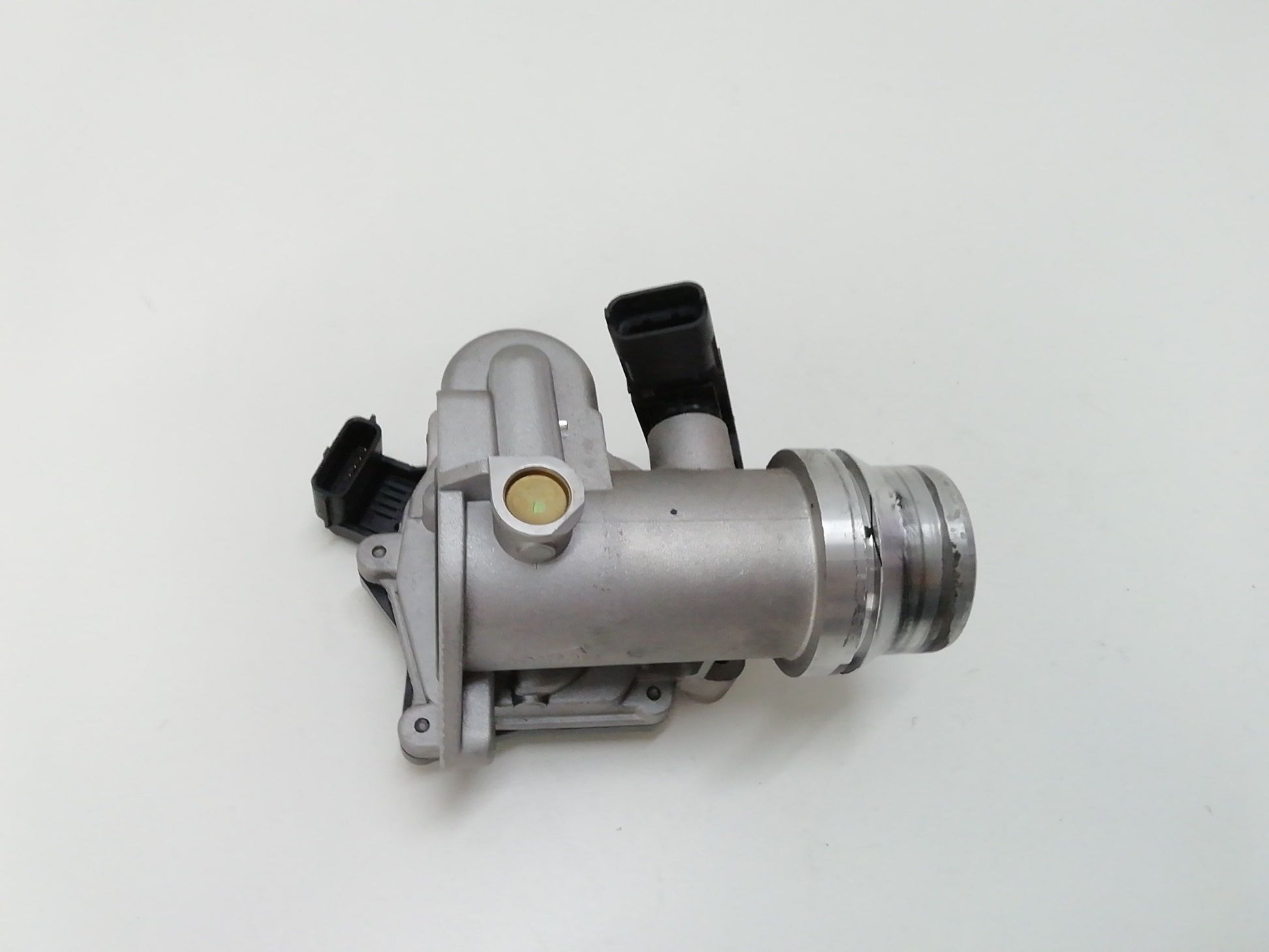 Immagine 2