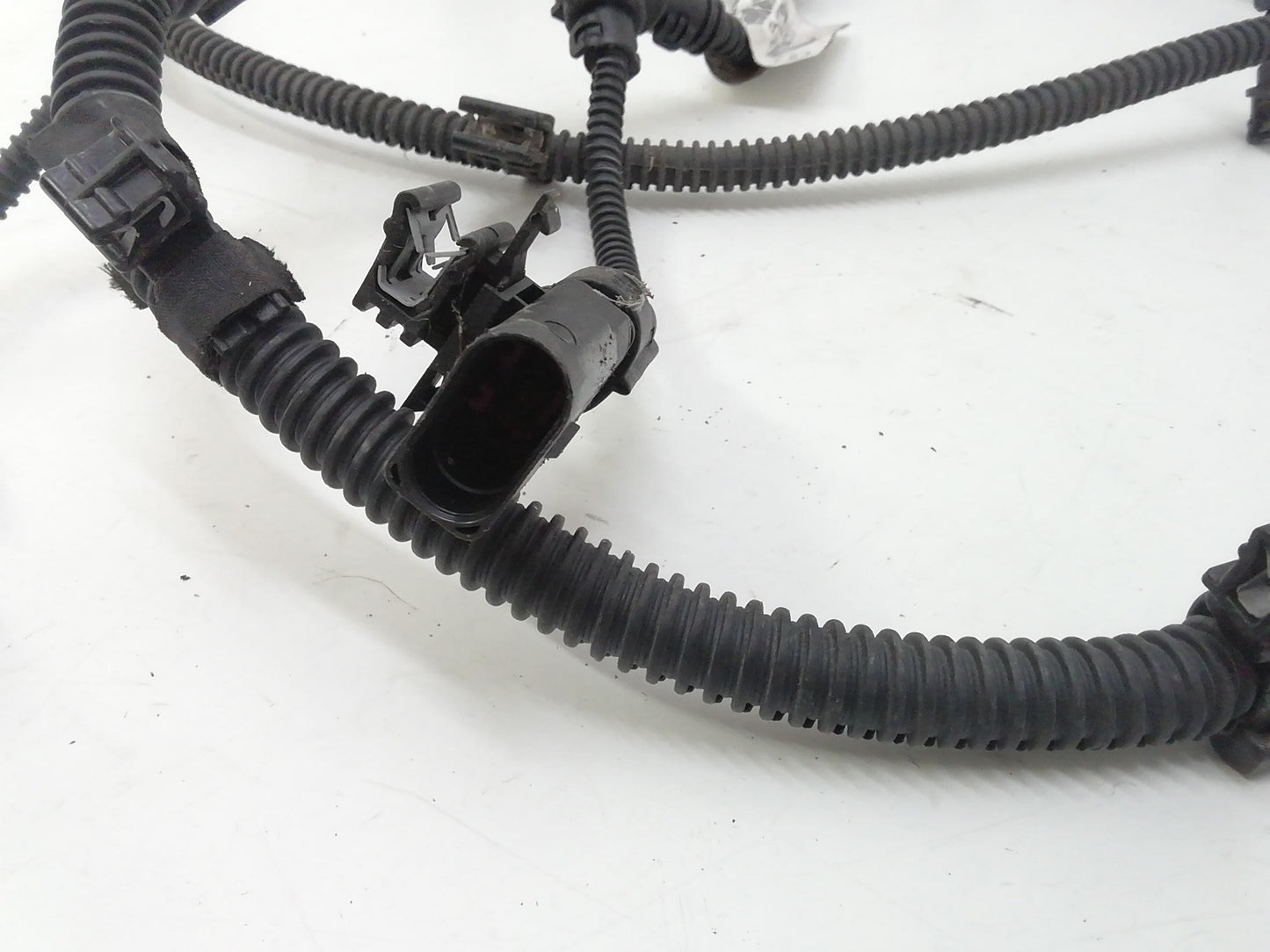 Immagine 5