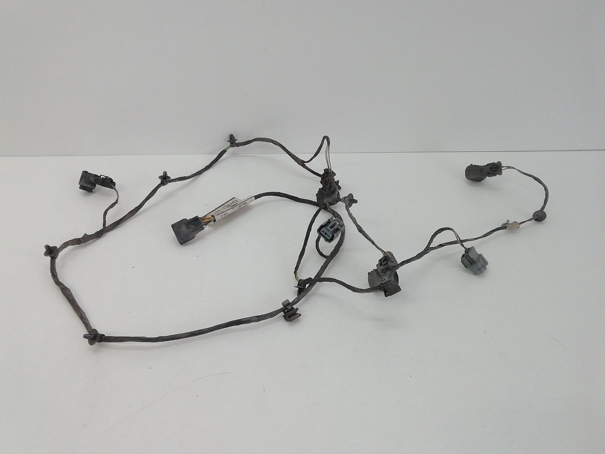 Immagine 6