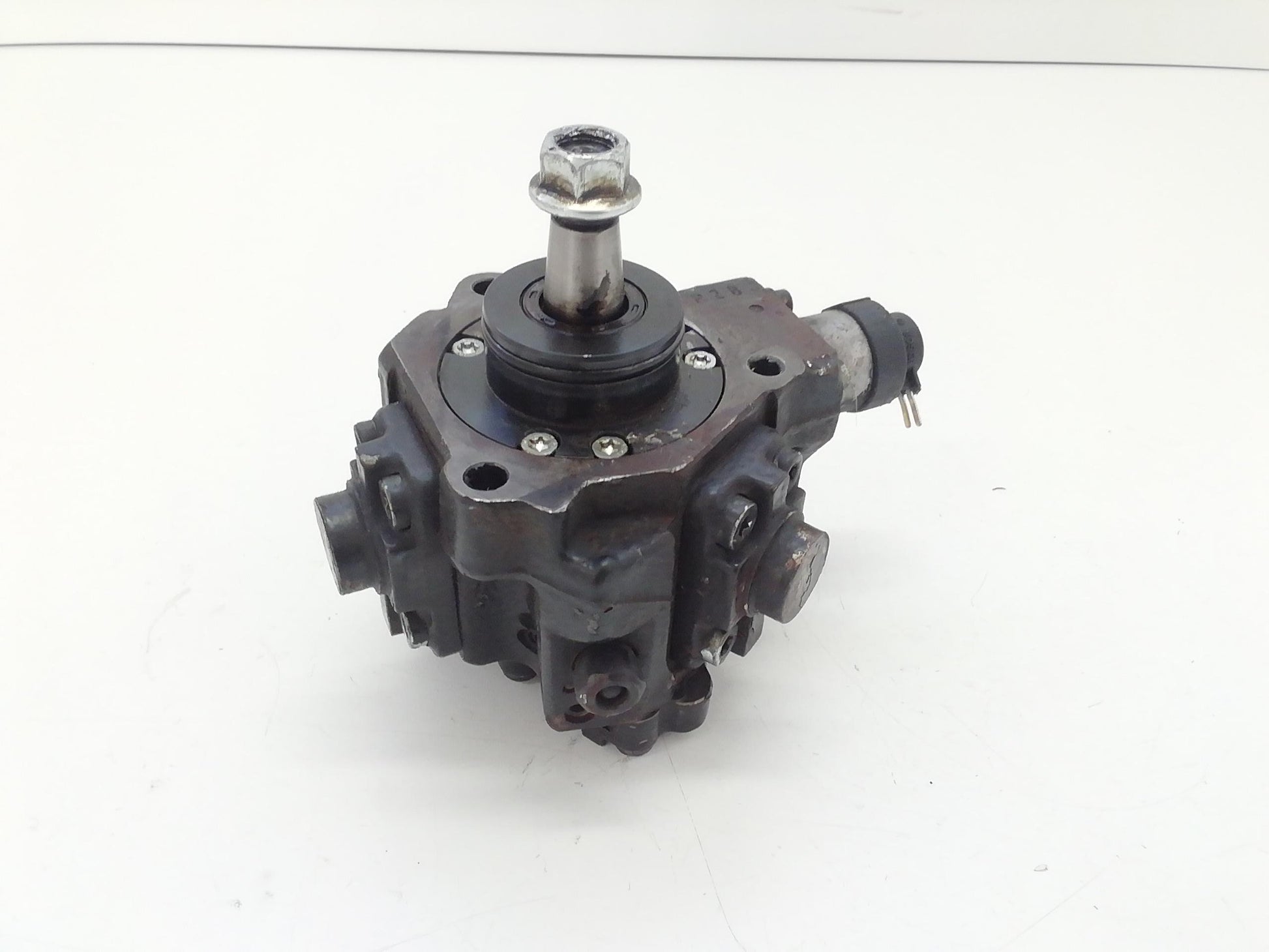 Immagine 5