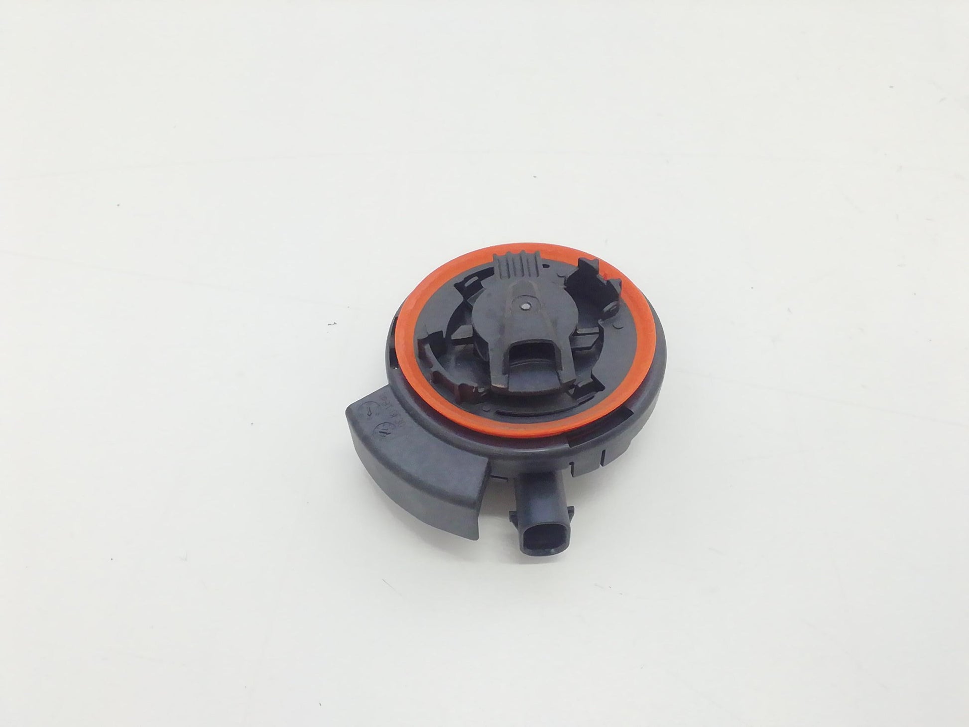 Immagine 4