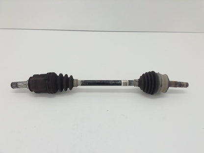 Immagine 1