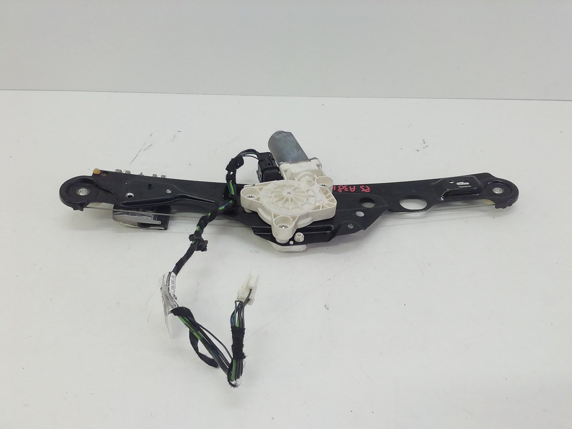 Immagine 2
