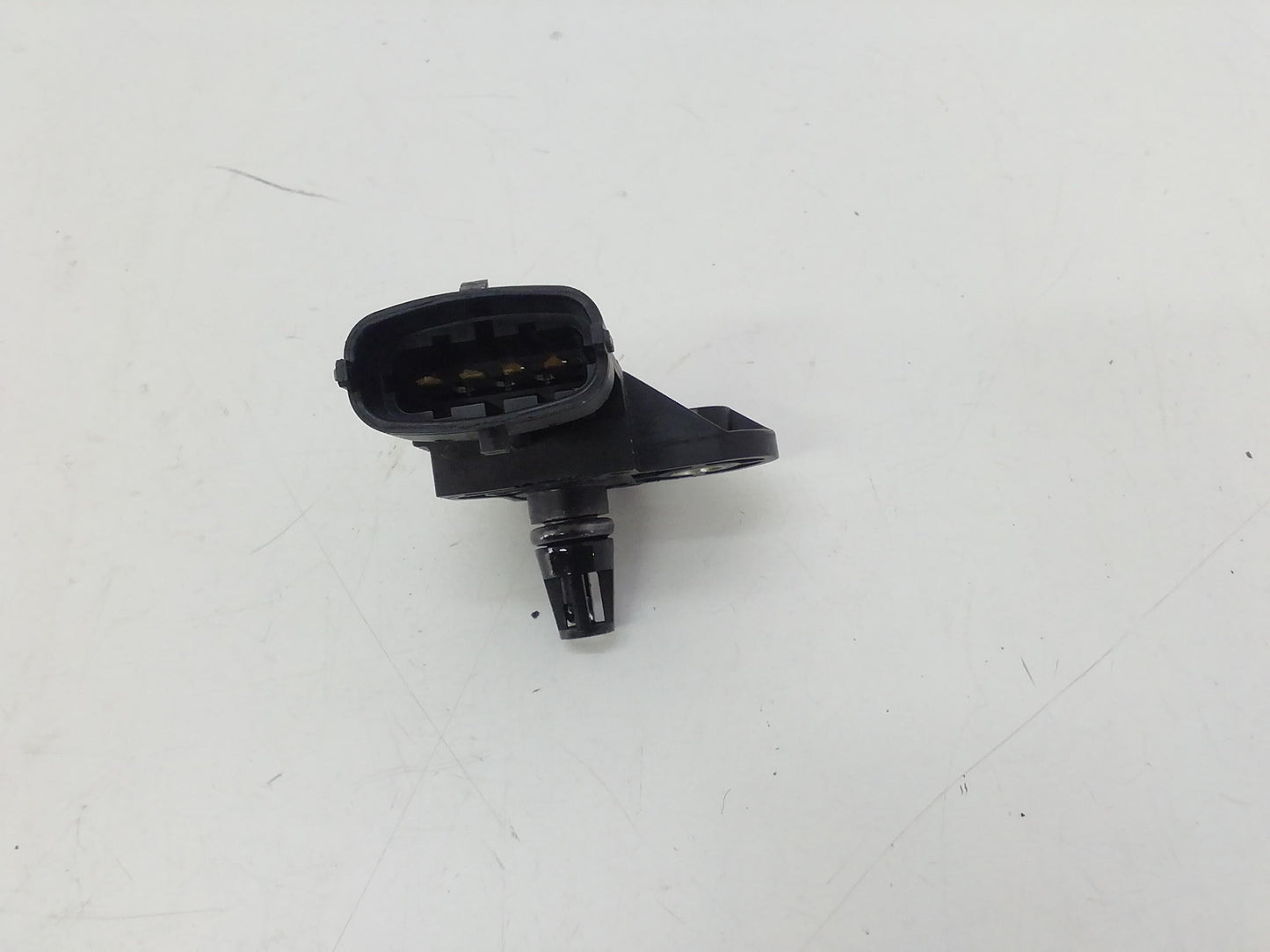 Immagine 3