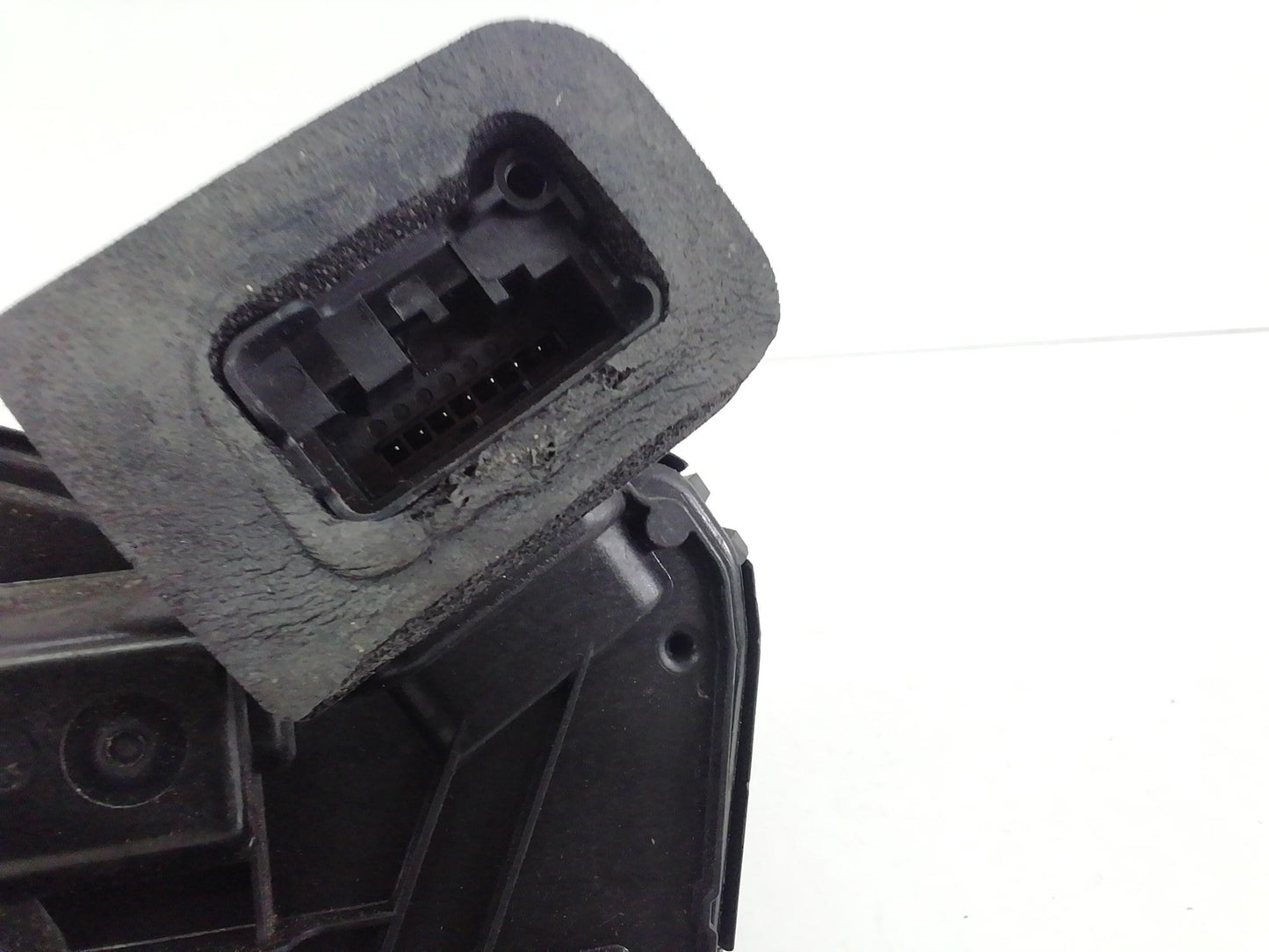 Immagine 3