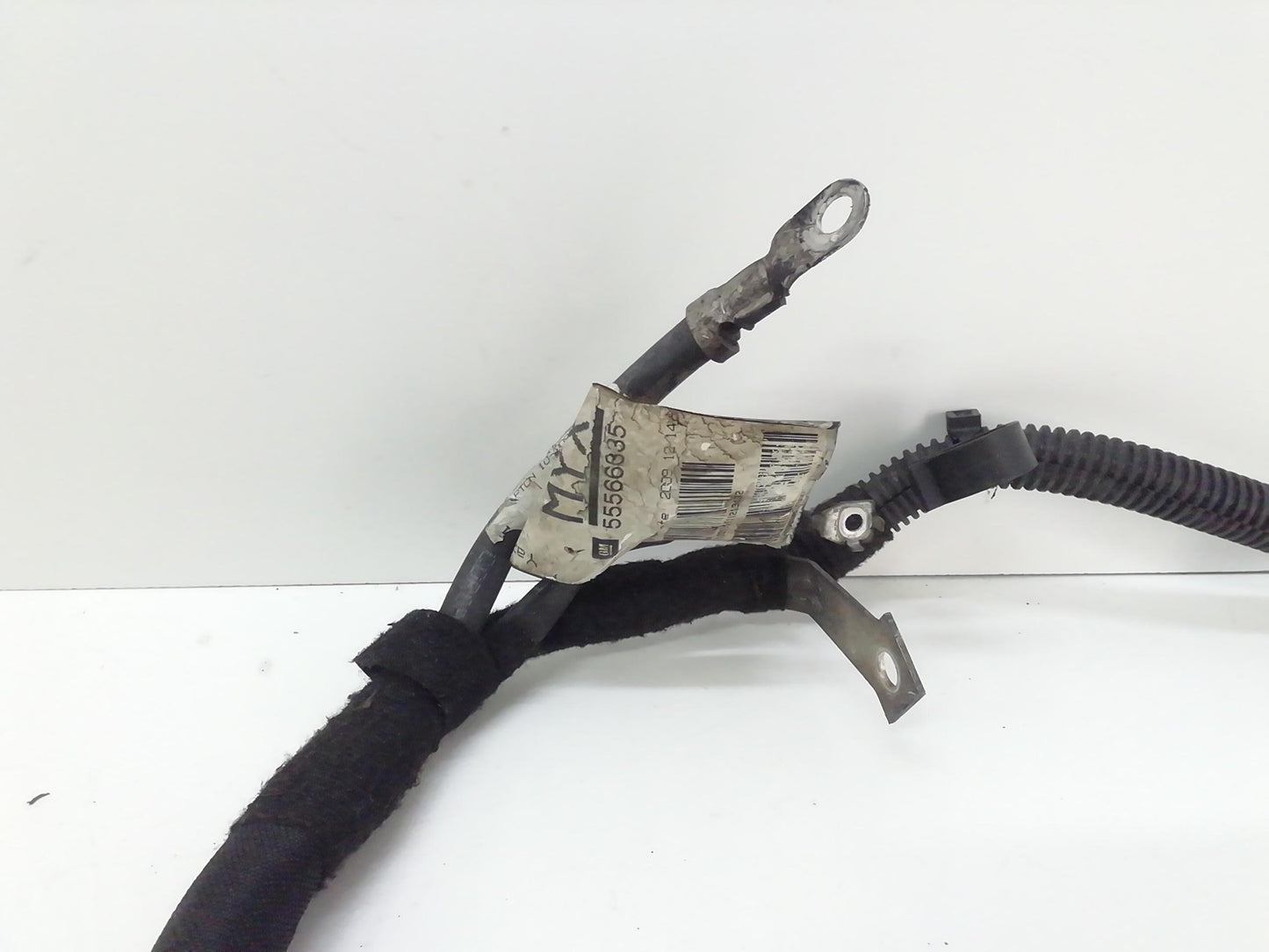 Immagine 2