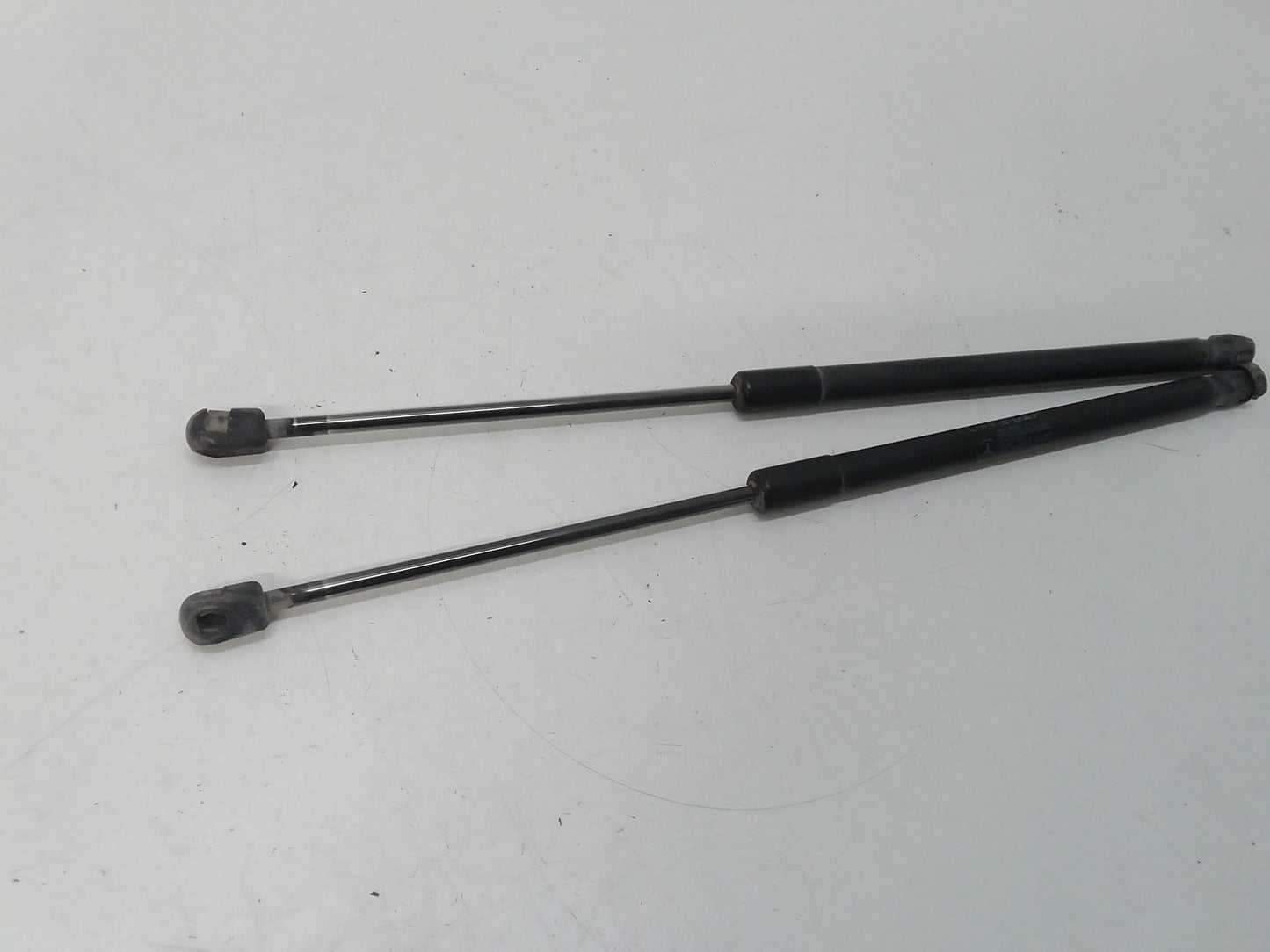 Immagine 6