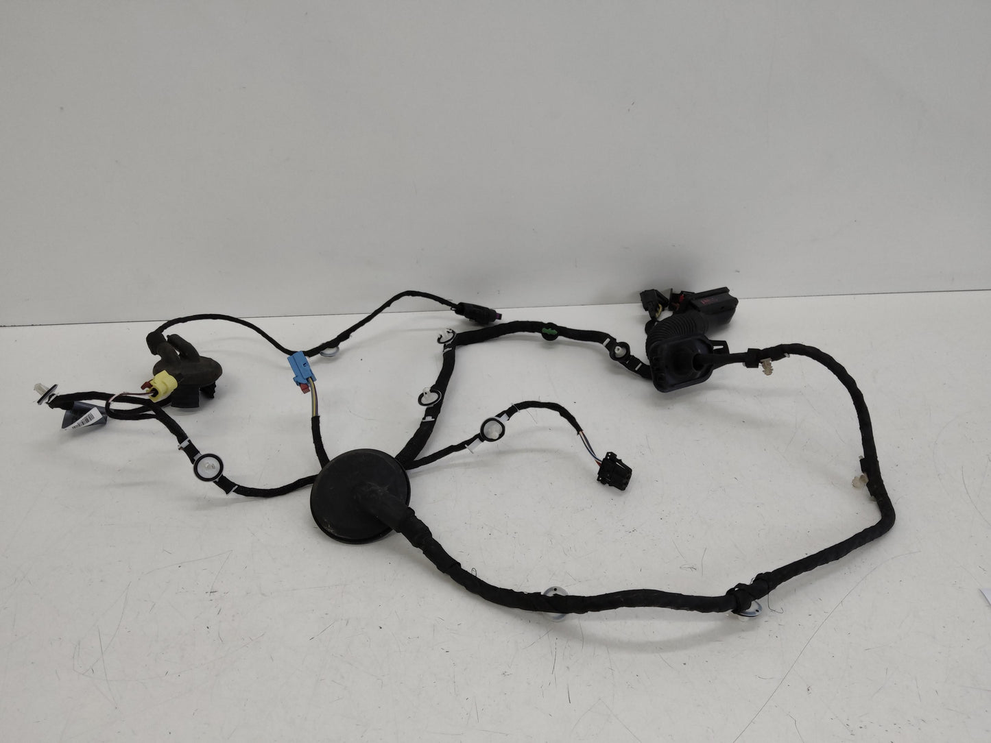 Immagine 1