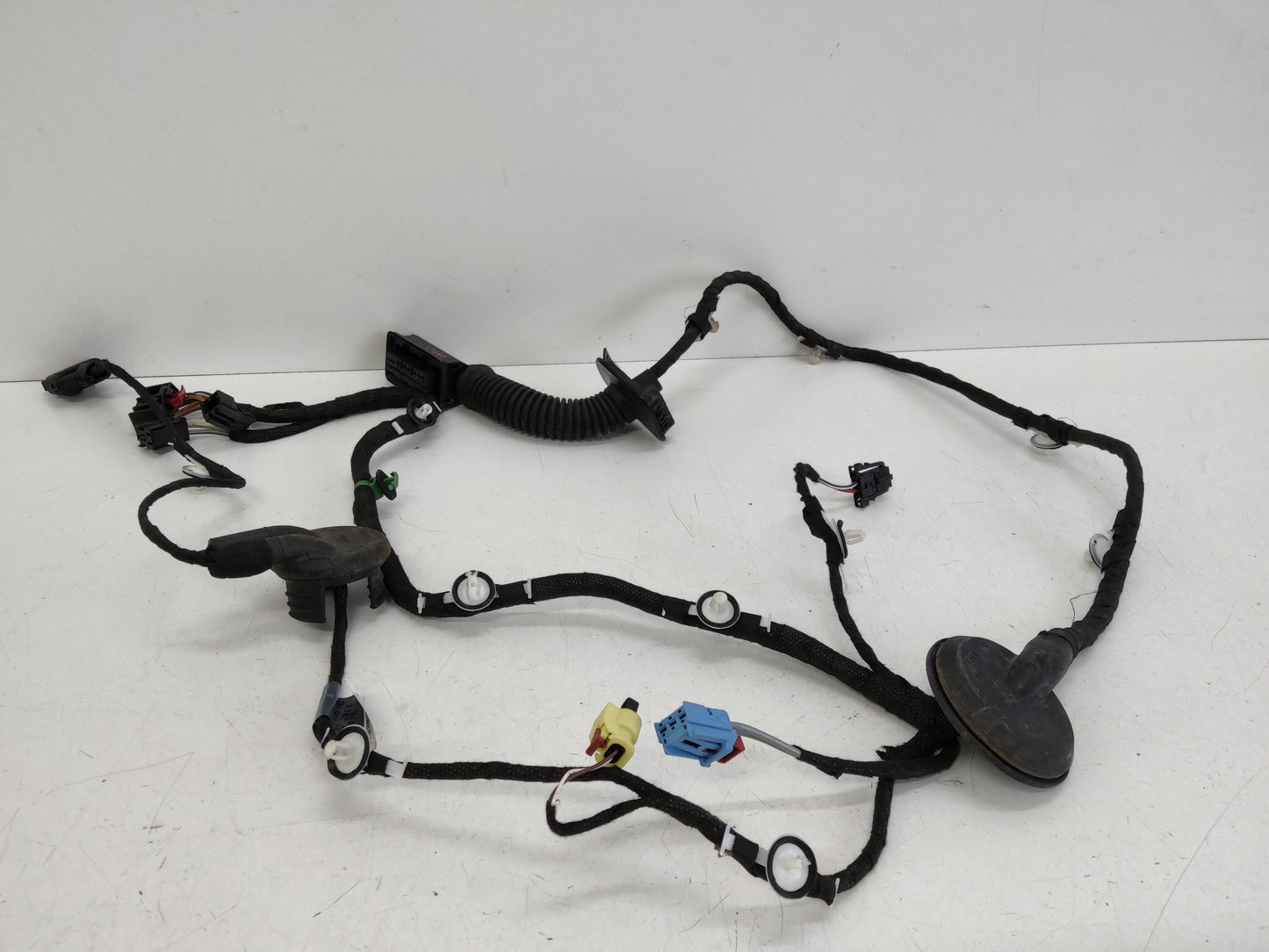 Immagine 2