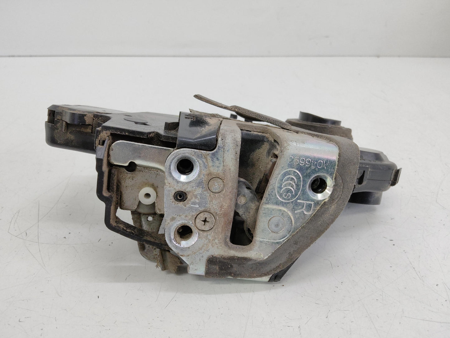 Immagine 3