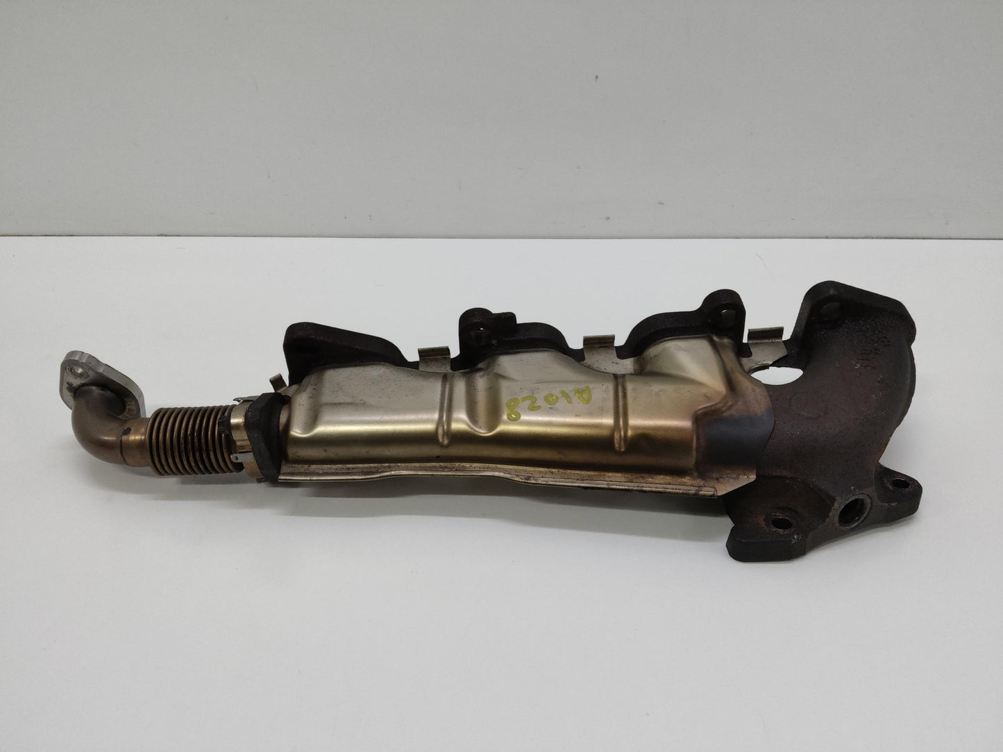 Immagine 3