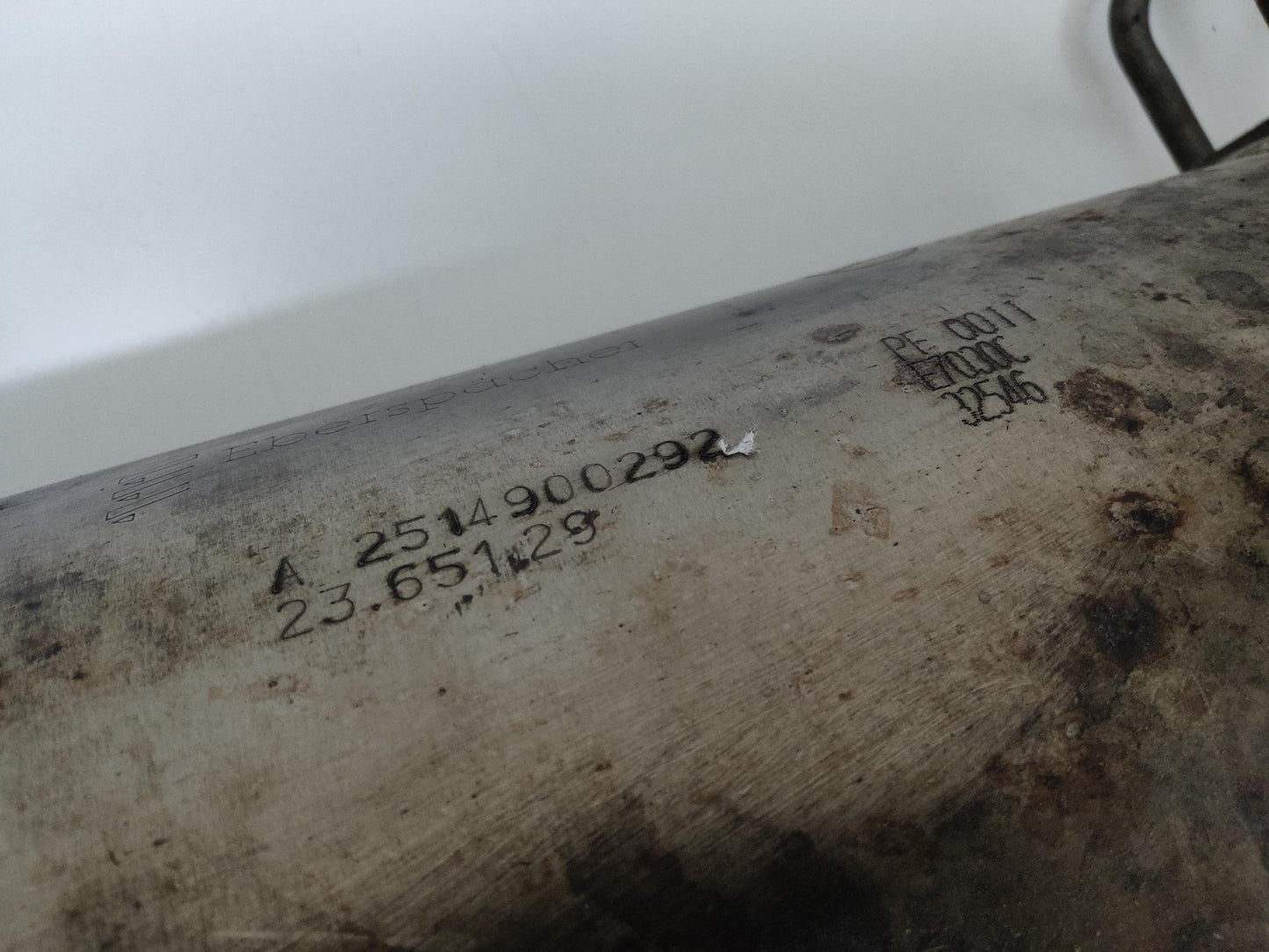 Immagine 7