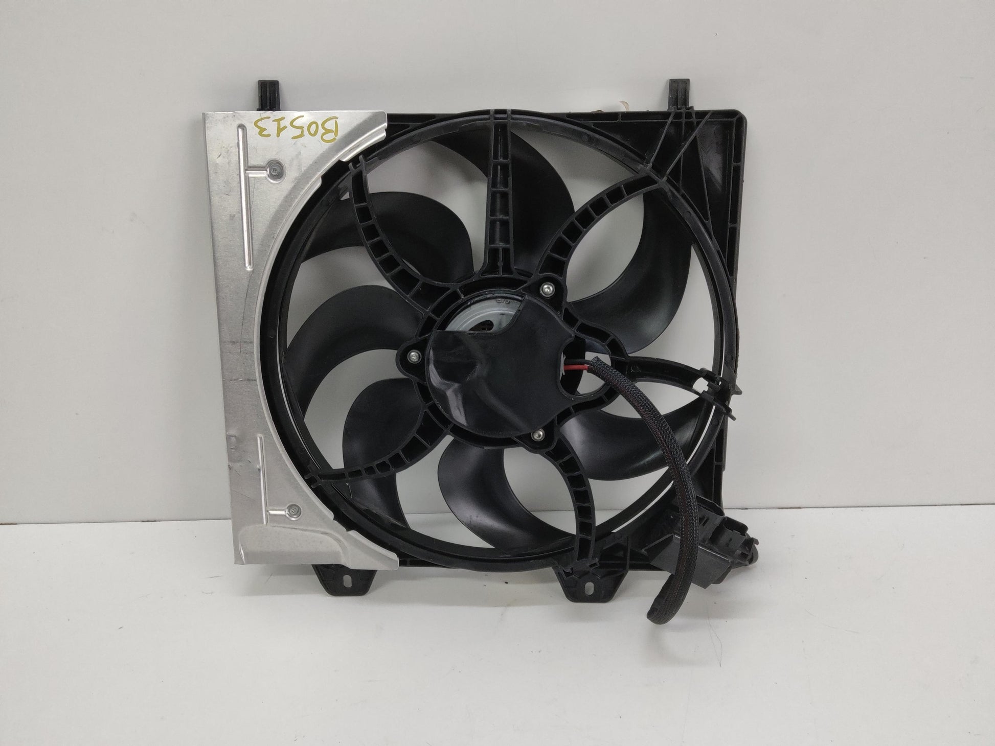Immagine 4
