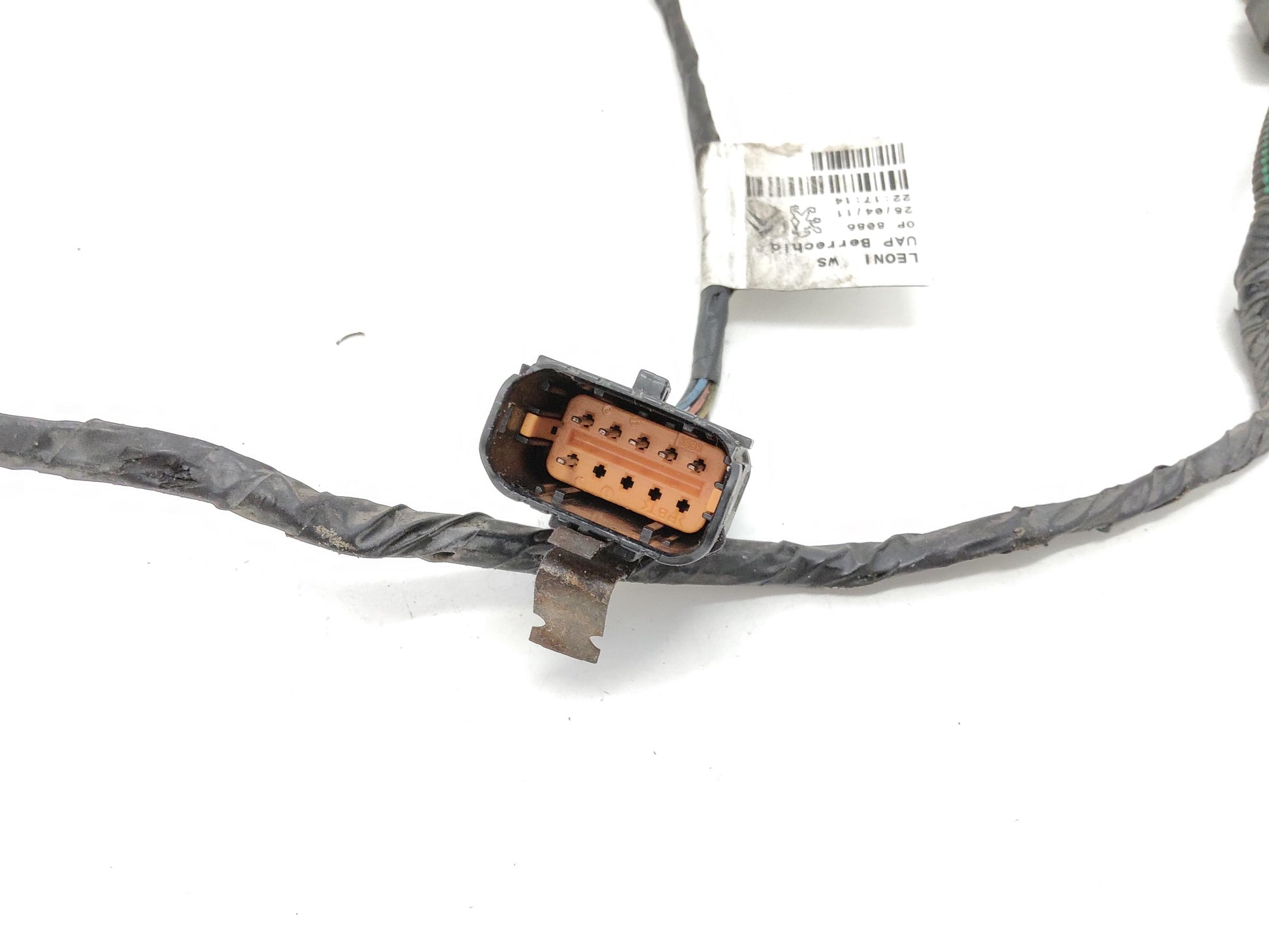 Immagine 4