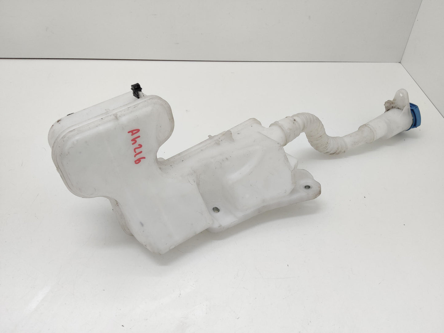 Immagine 2