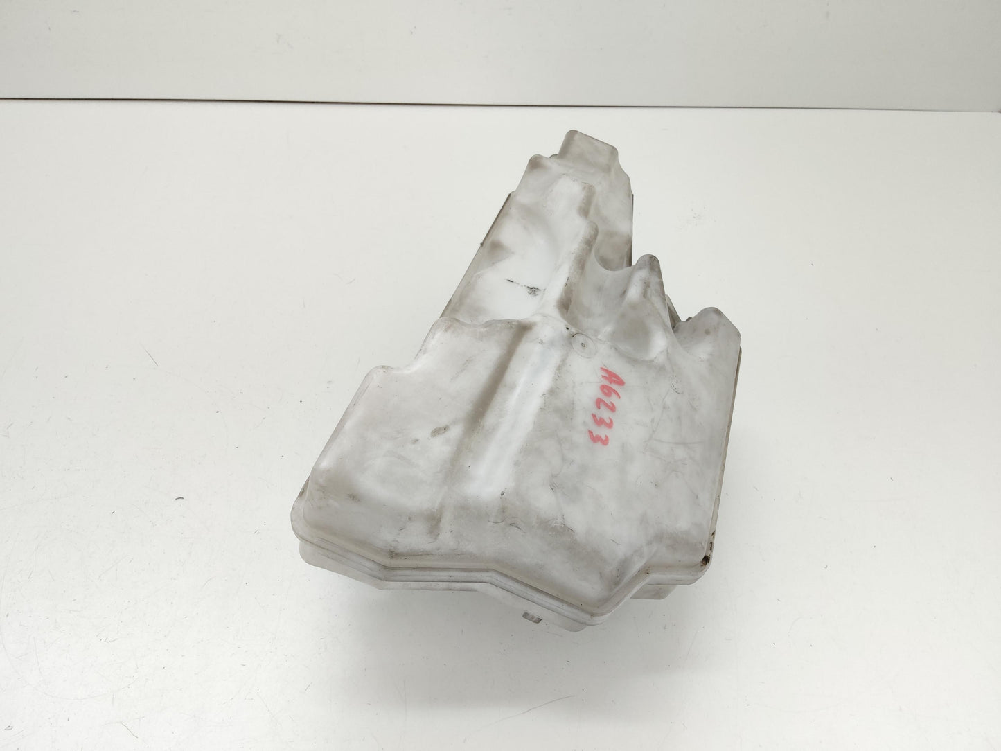Immagine 6